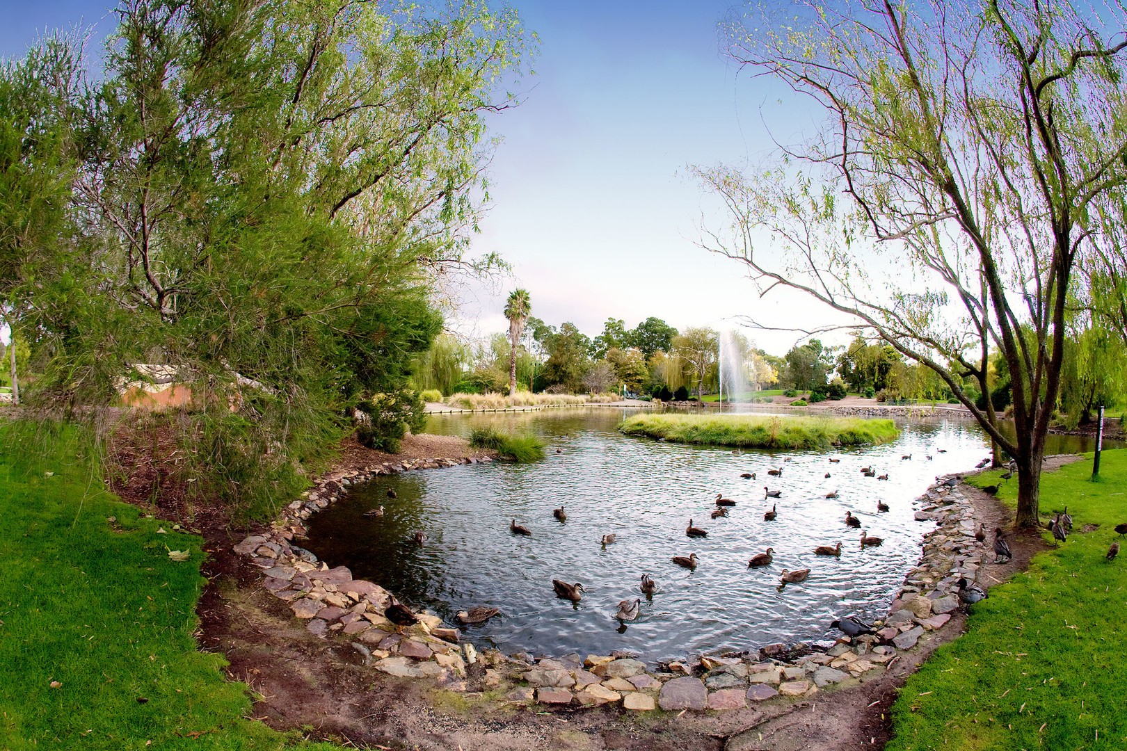2/75 Albert AvenueBoronia, VIC 3155, Boronia - Thumbnail 6