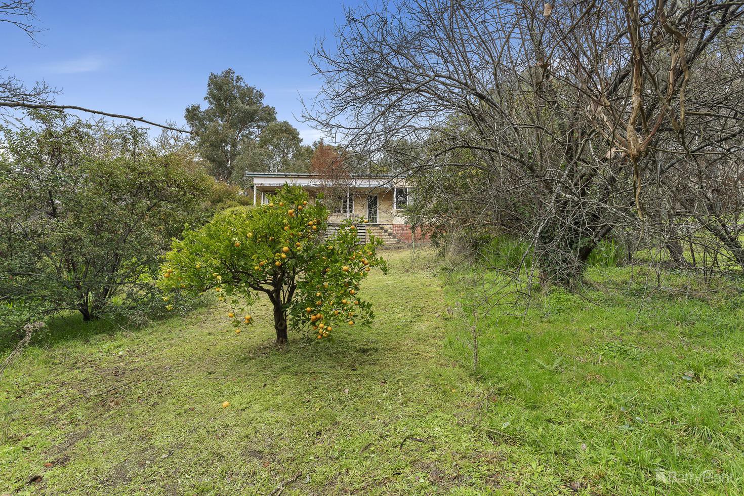 32 West End Road, Warrandyte, VIC 3113, Warrandyte - Thumbnail 8