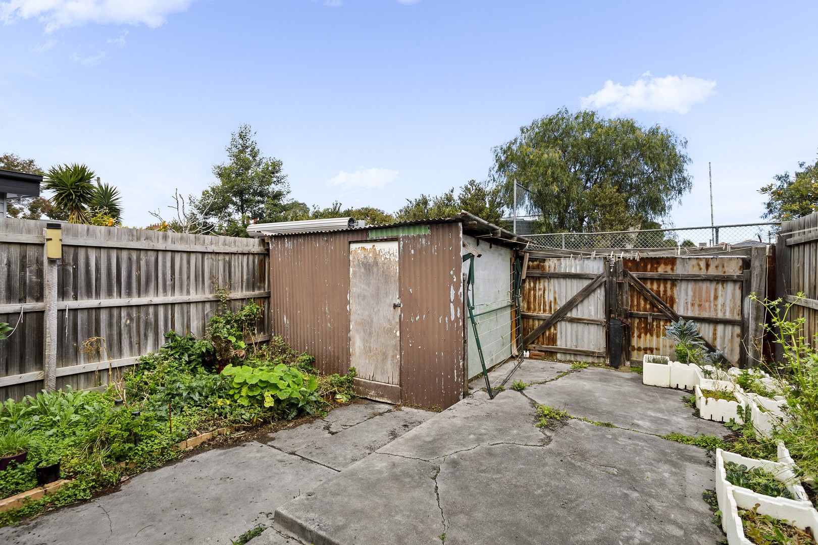 17 Clarence StreetBrunswick East, VIC 3057, Brunswick East - Thumbnail 6