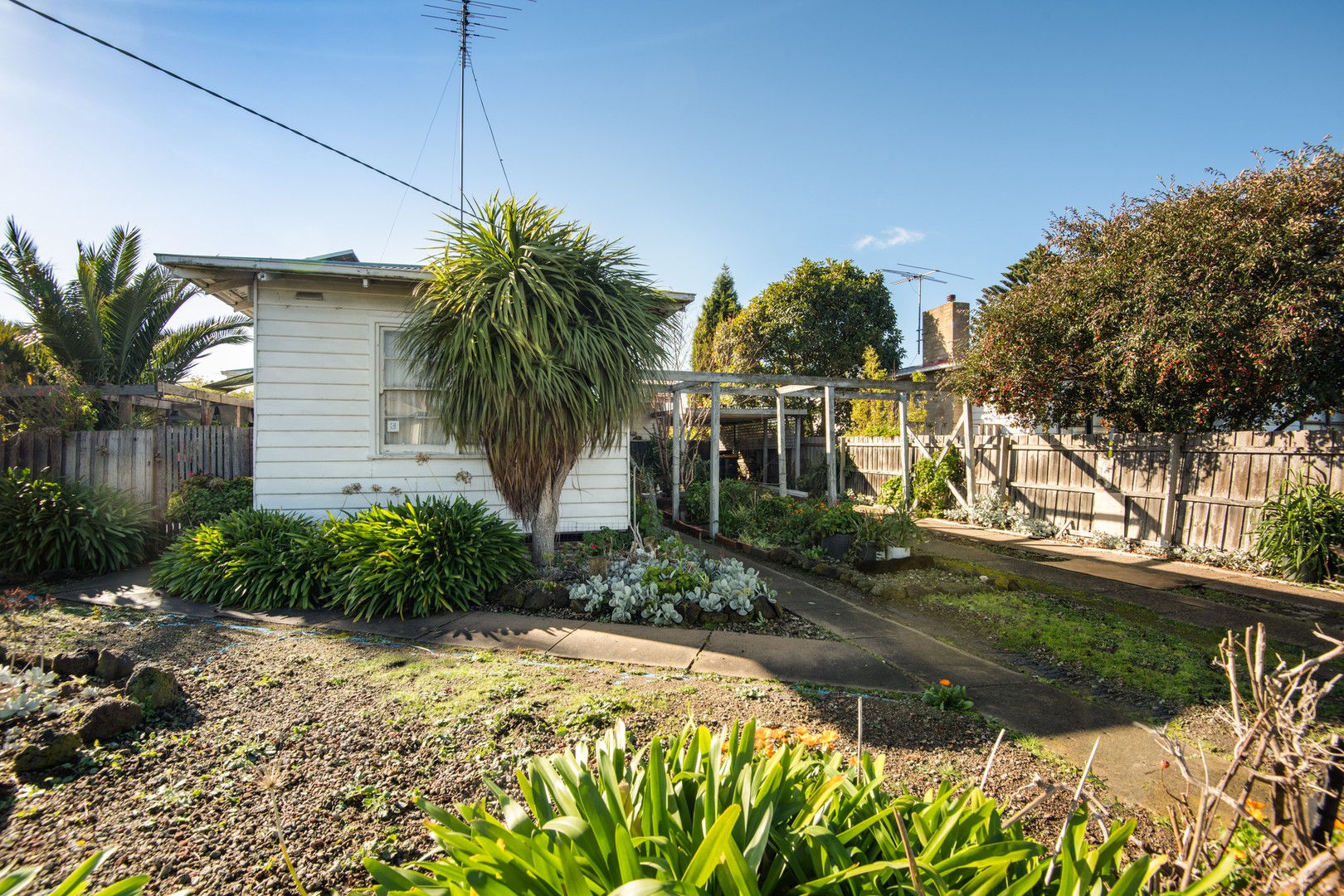 24 Robin AvenueNorlane, VIC 3214, Norlane - Thumbnail 3