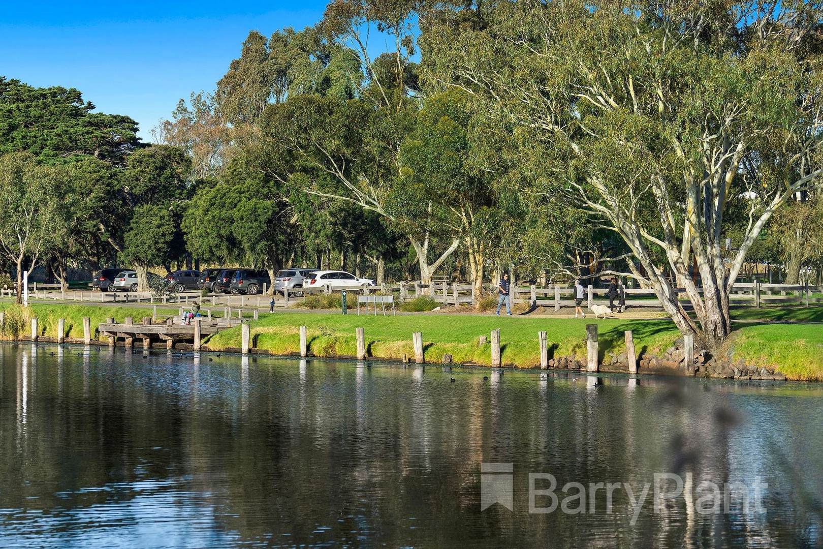 18 Narrawong AvenueHighton, VIC 3216, Highton - Thumbnail 4