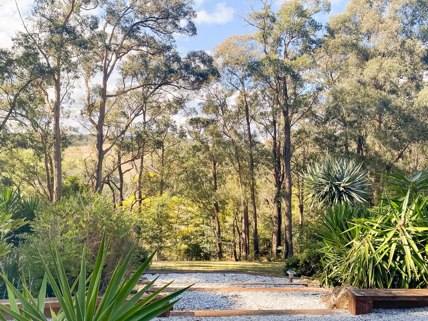 175 Thonemans RoadHoddles Creek, VIC 3139, Hoddles Creek - Thumbnail 7