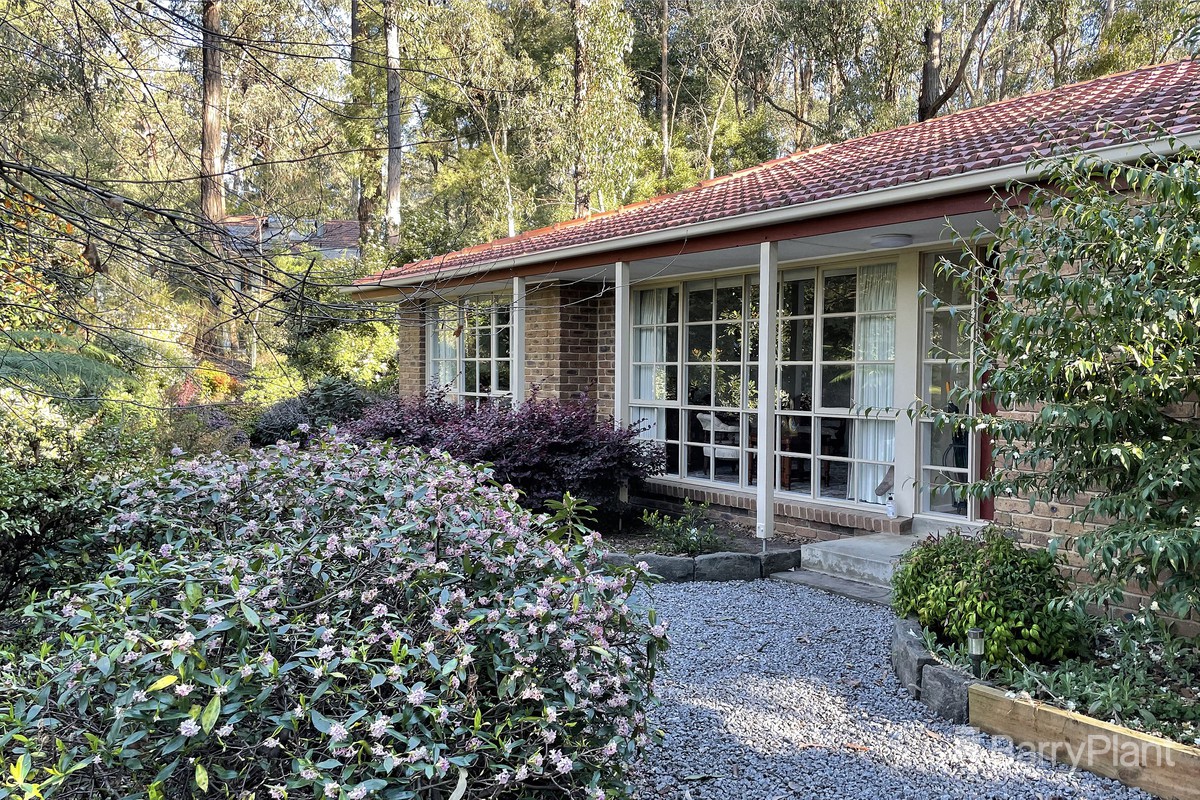 53 Fernglade DriveEmerald, VIC 3782, Emerald - Thumbnail 2