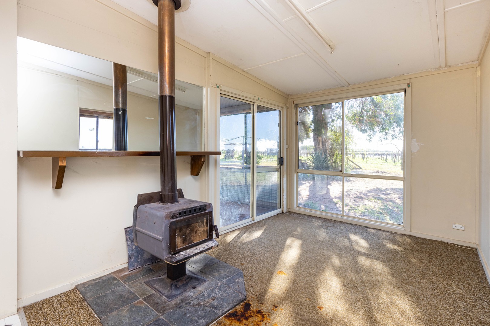 241 Cocklin AvenueRed Cliffs, VIC 3496, Red Cliffs - Thumbnail 6