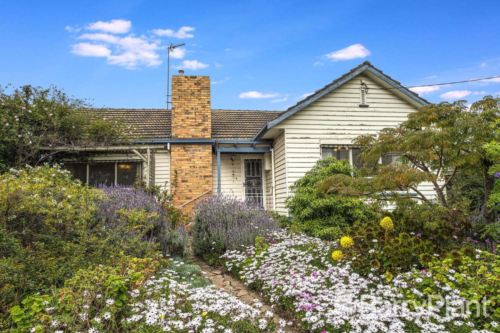9 Victoria TerraceBelmont, VIC 3216, Belmont - Thumbnail 3