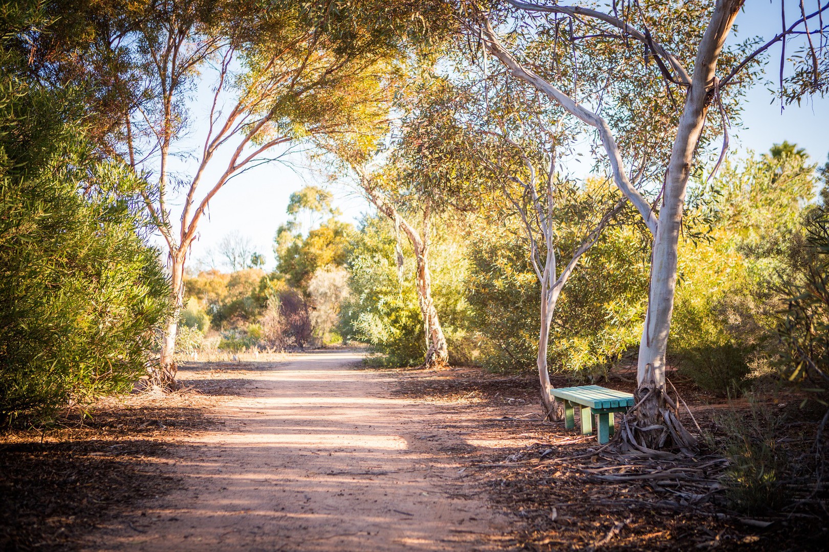 Lot: 20, Verdi Boulevard, Irymple, VIC, 3498, Irymple - Thumbnail 5
