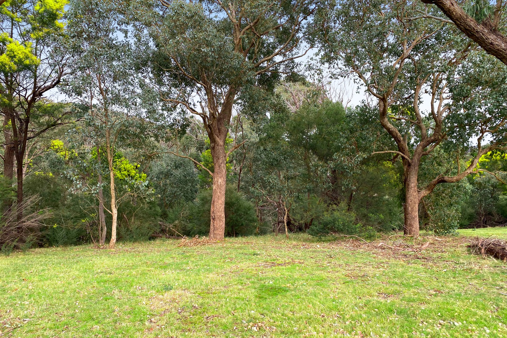 2020 Heidelberg-Kinglake RoadSt Andrews, VIC 3761, St Andrews - Thumbnail 6