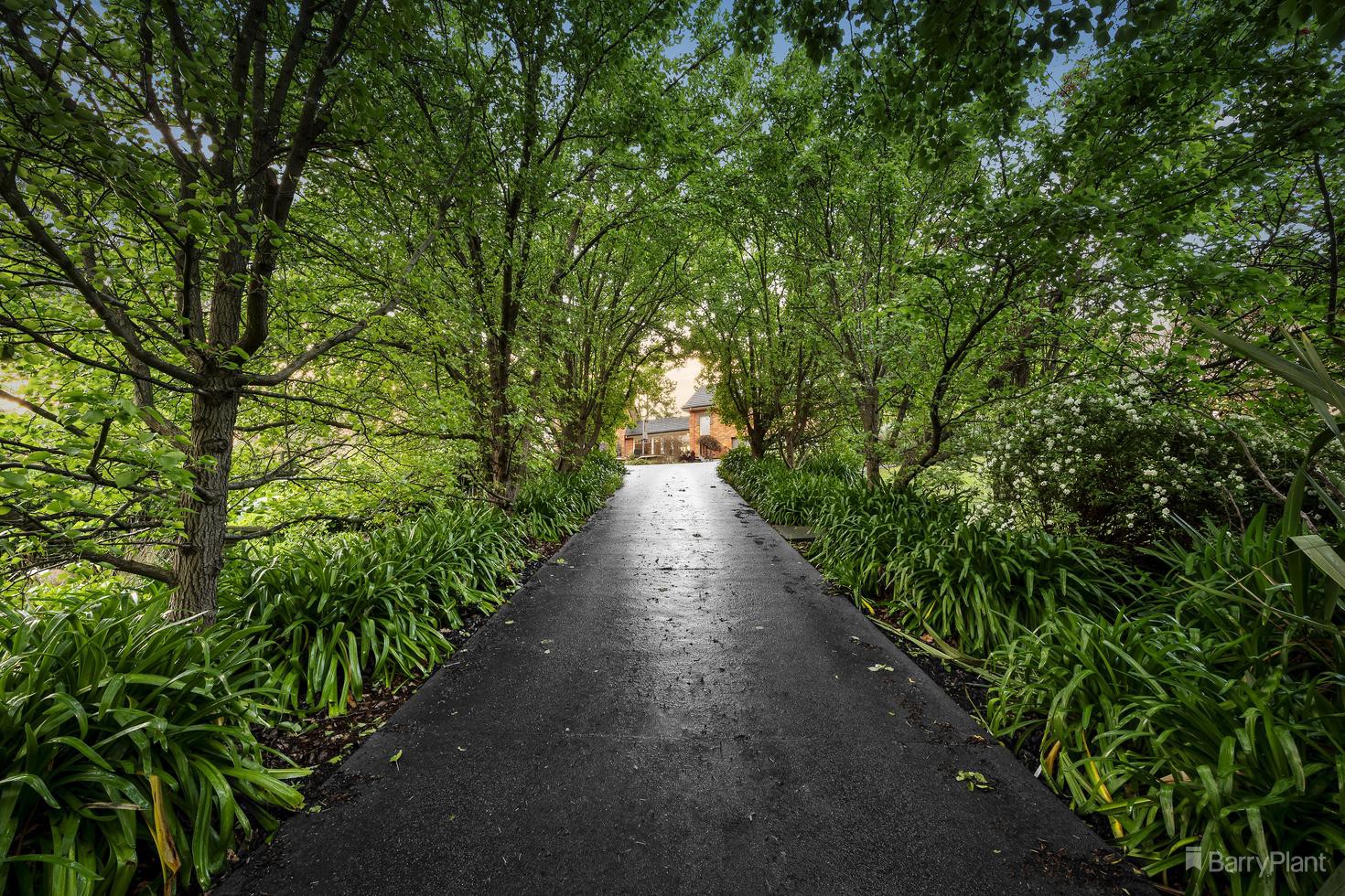 8 Mahoneys Court, Warrandyte, VIC 3113, Warrandyte - Thumbnail 3