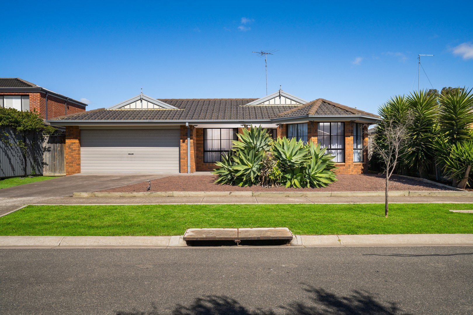 20 Bellagio CourtWhittington, VIC 3219, Whittington - Thumbnail 3