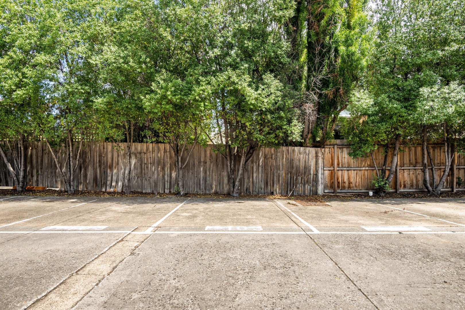 1/103 Gertrude Street, Geelong West, VIC 3218, Geelong West - Thumbnail 8