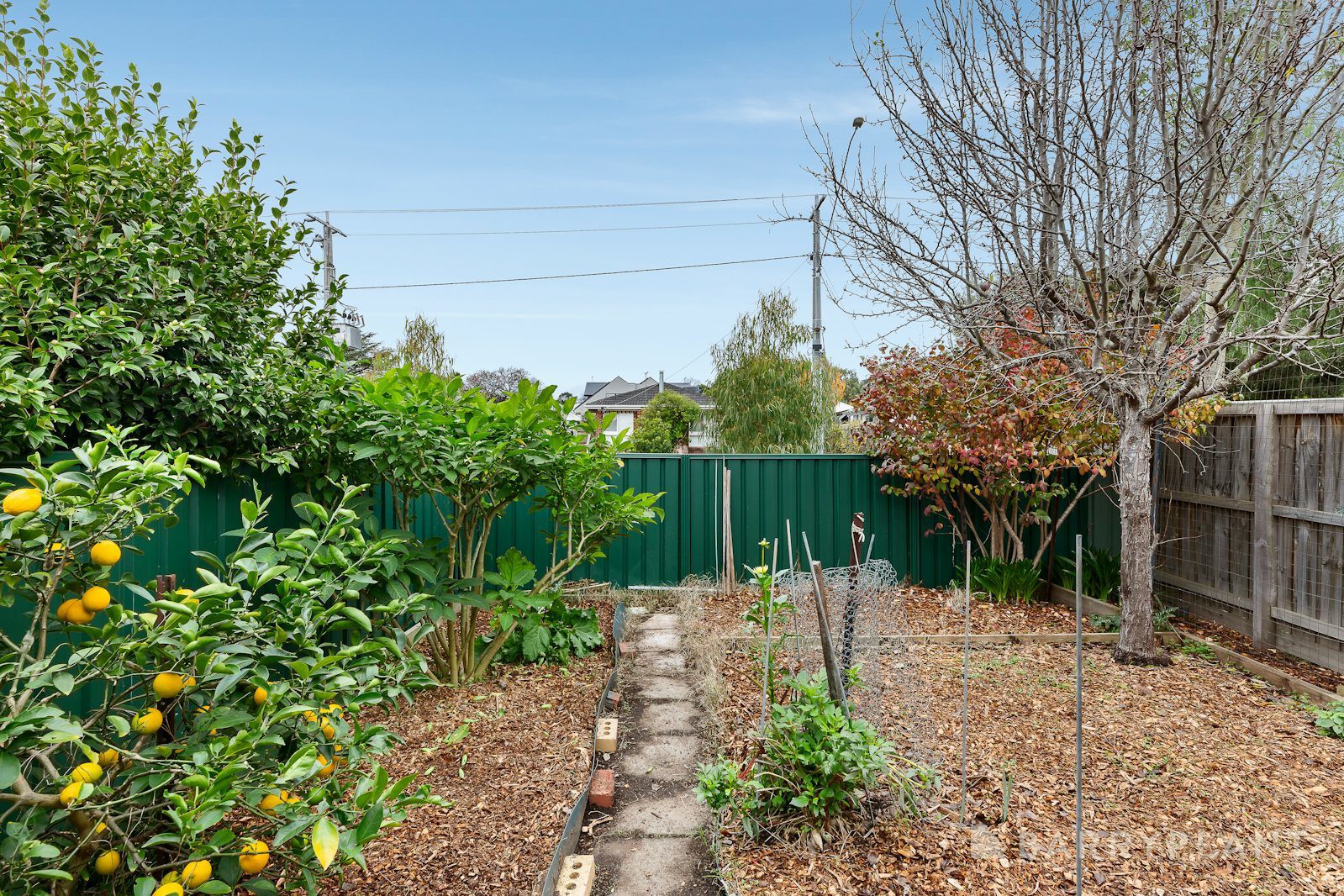 1/13-15 Smith Street, Healesville, VIC 3777, Healesville - Thumbnail 8