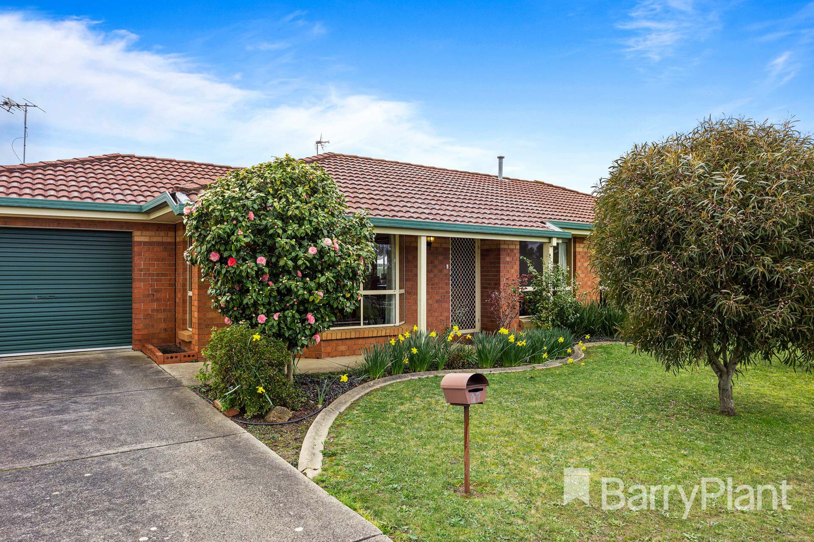 1/17 Jack Court, Alfredton, VIC 3350, Alfredton - Thumbnail 2