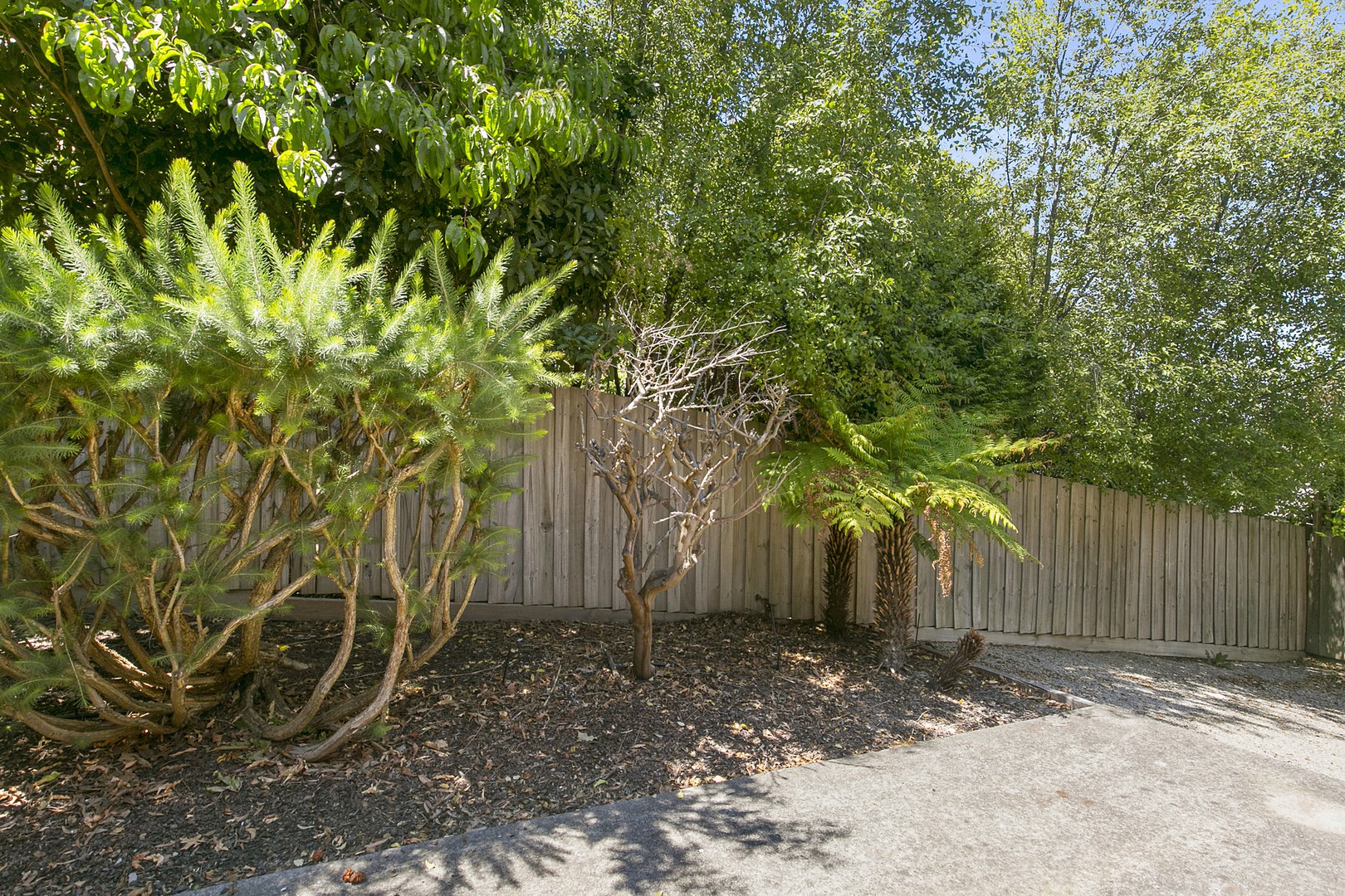 1/1A Hearthside Court, Ringwood, VIC 3134, Ringwood - Thumbnail 6
