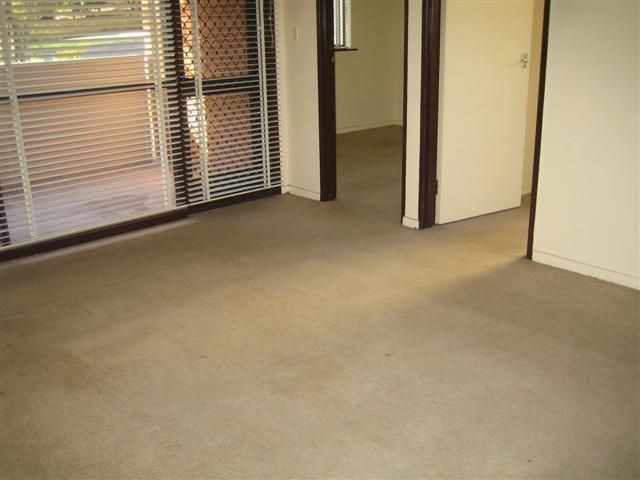 1/28-30 Albion Road, Box Hill, VIC 3128, Box Hill - Thumbnail 3