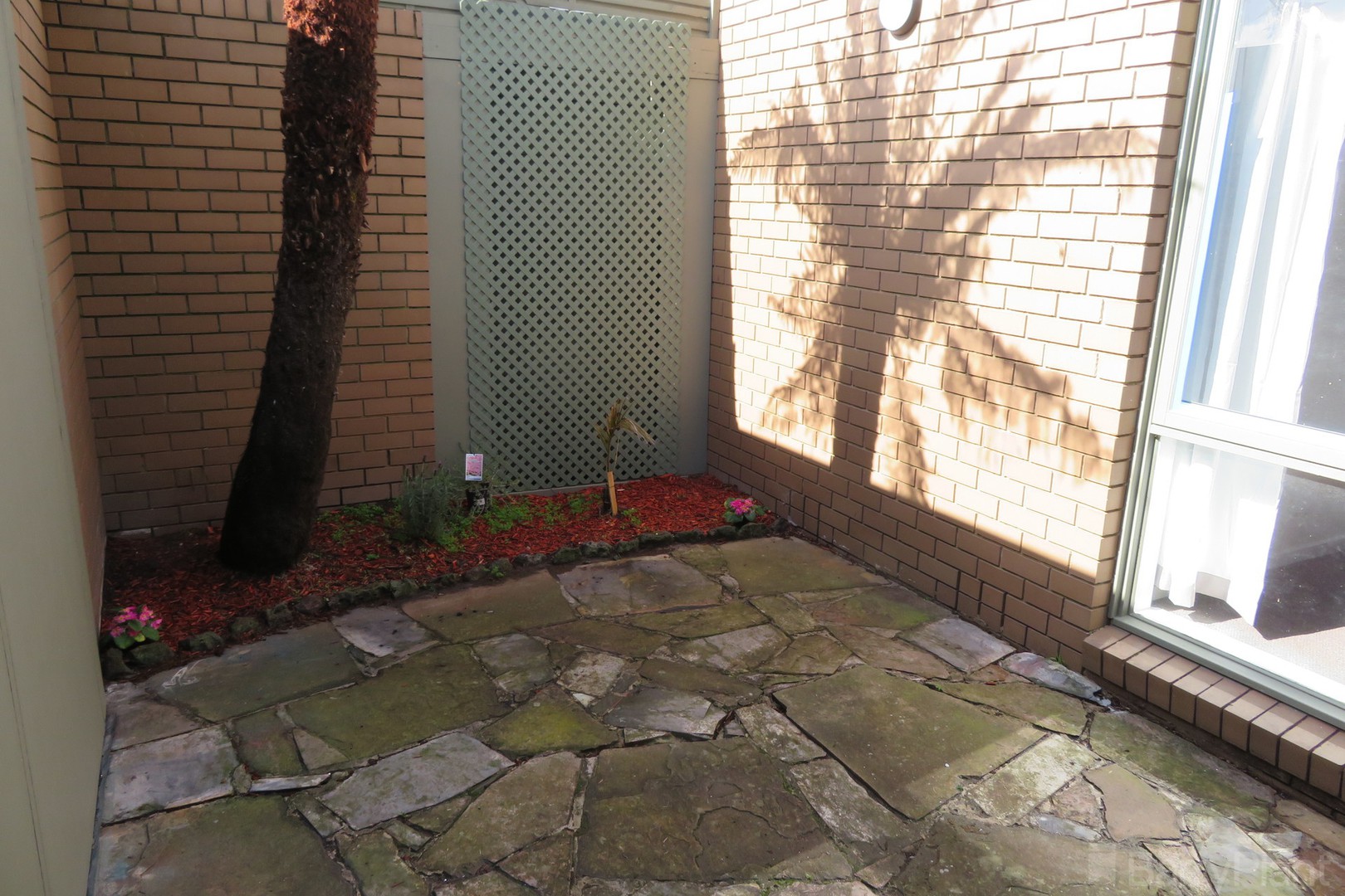 1/3 Federal Road, Ringwood East, VIC 3135, Ringwood East - Thumbnail 7