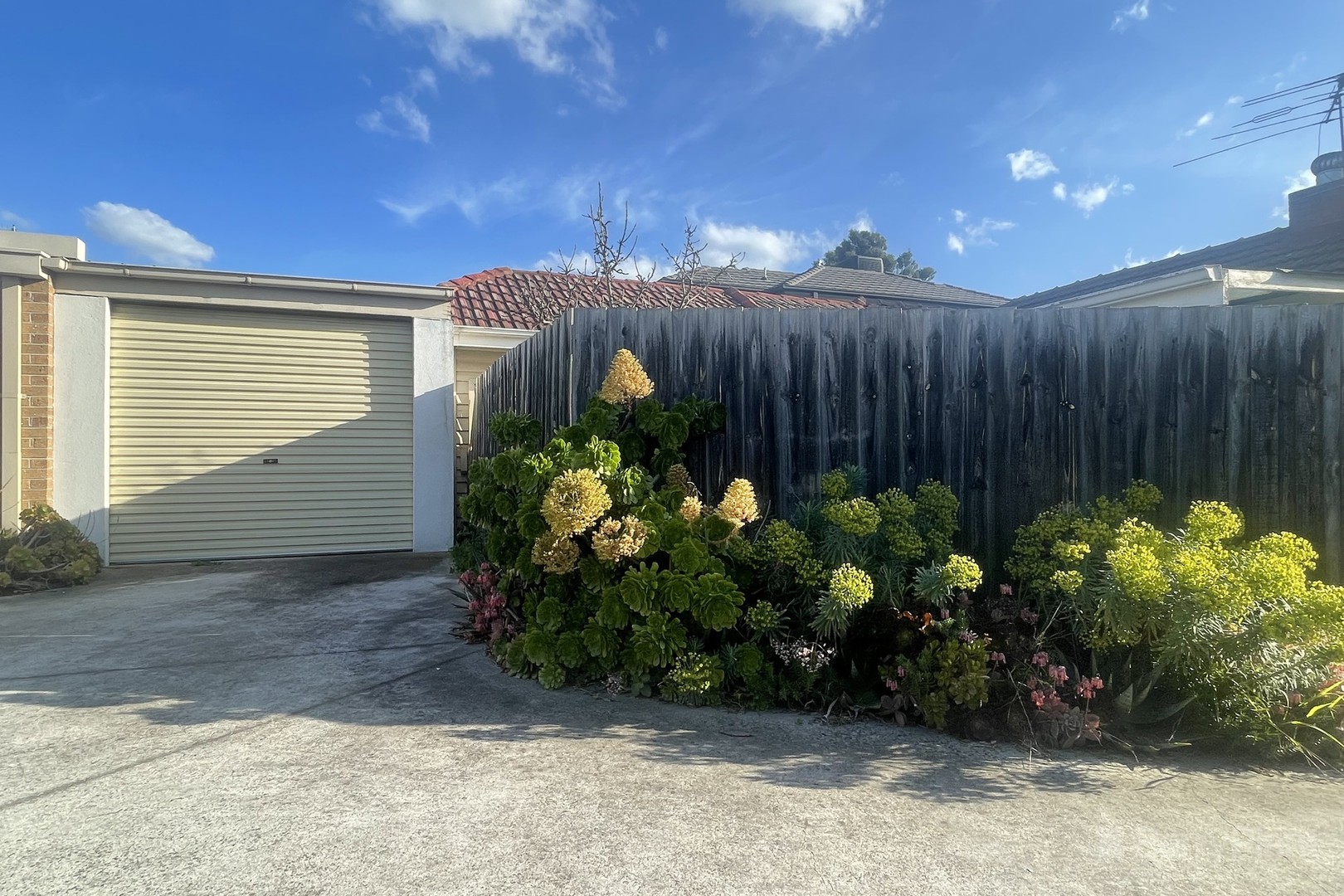 1/3 Second Street, Clayton South, VIC 3169, Clayton South - Thumbnail 6