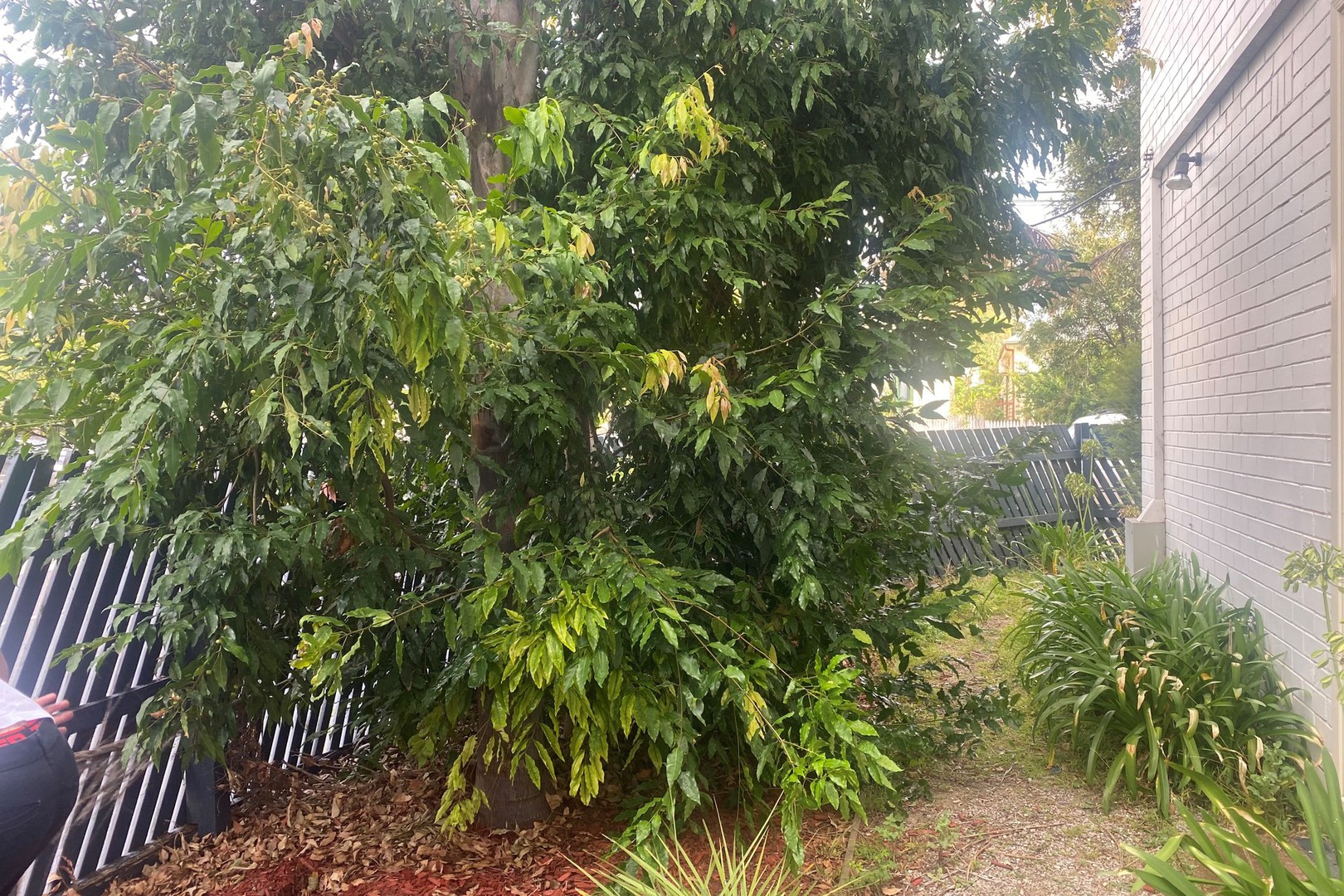 1/305 Brunswick Road, Brunswick, VIC 3056, Brunswick - Thumbnail 6
