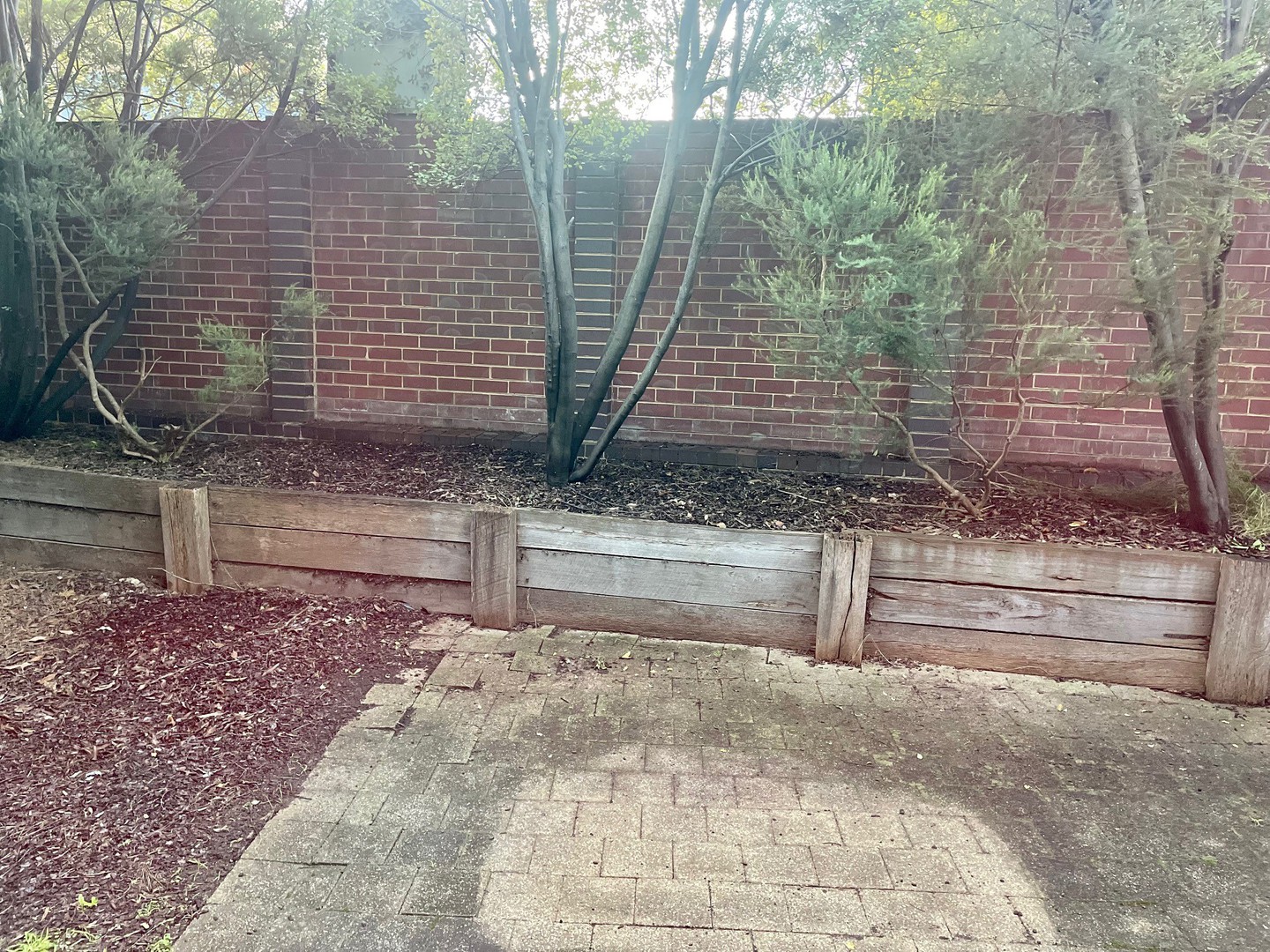 1/35 Cambridge Street, Box Hill, VIC 3128, Box Hill - Thumbnail 5