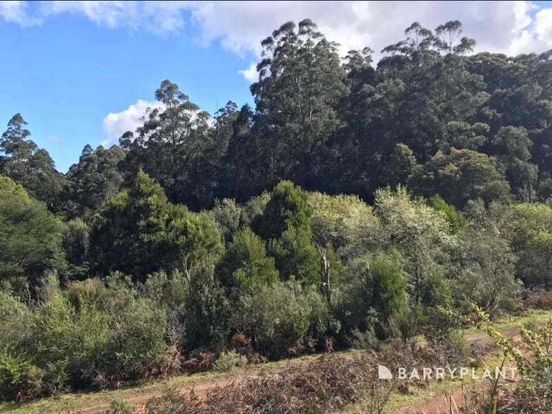 1 Currawong Drive, Gembrook, VIC 3783 - Thumbnail 1 - 20/05/2025