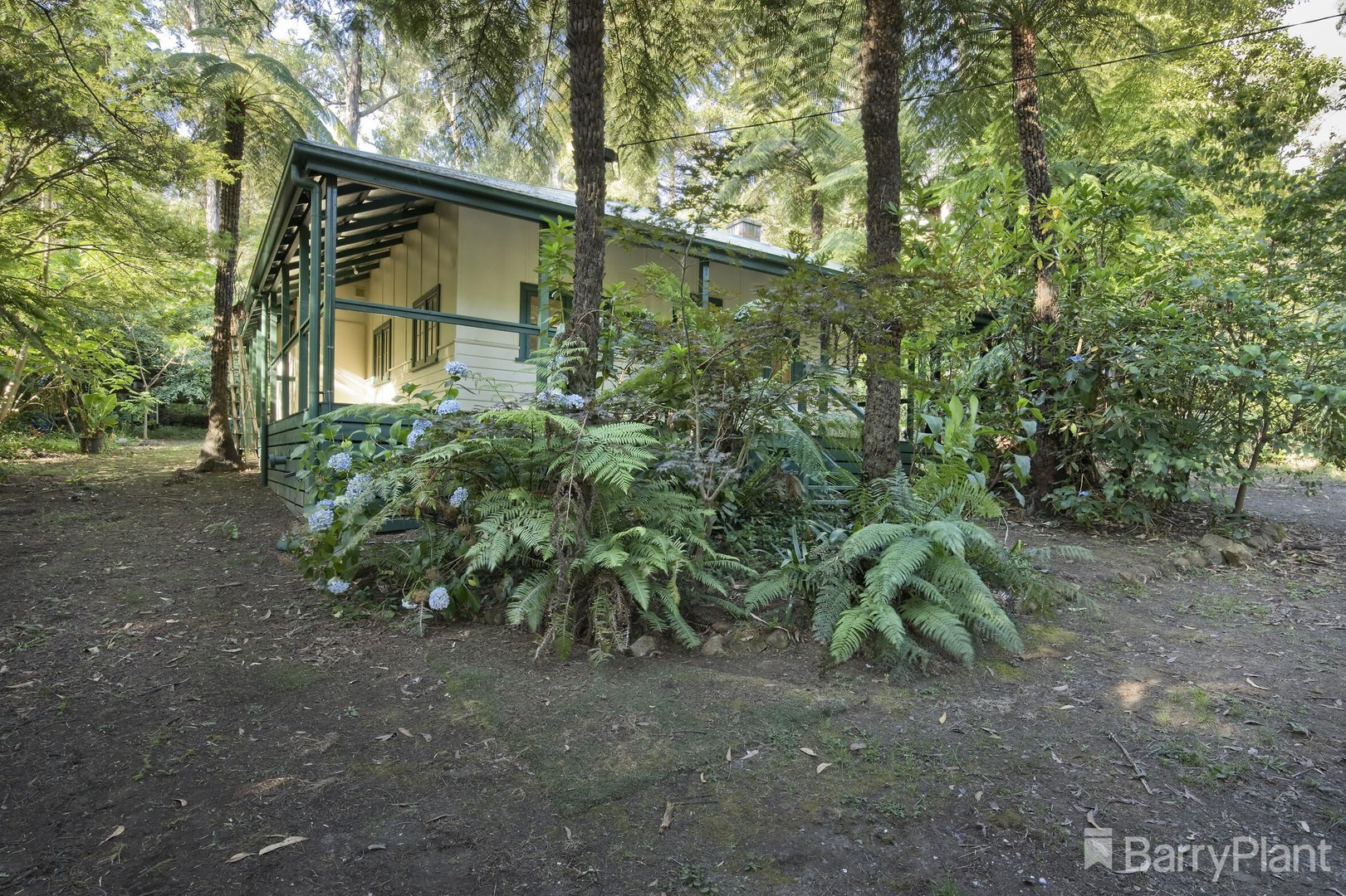 1 Dunstan Road, Avonsleigh, VIC 3782, Avonsleigh - Thumbnail 2