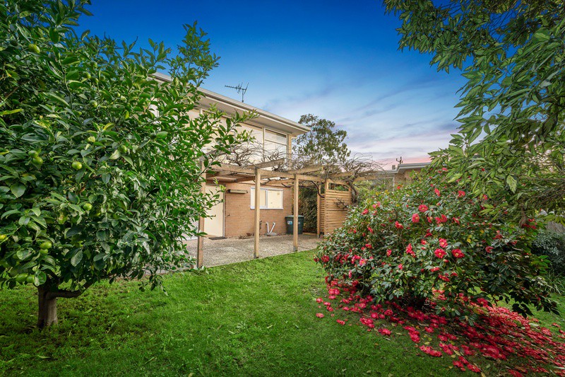 1 Eric Avenue, Templestowe Lower, VIC 3107, Templestowe Lower - Thumbnail 8