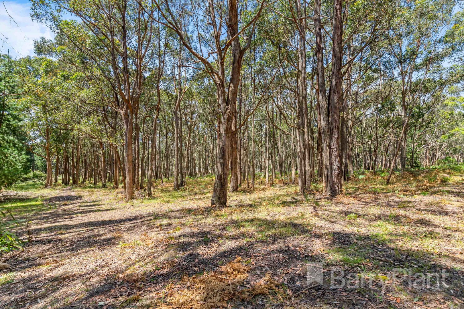 1 Foxes LaneGordon, VIC 3345, Gordon - Thumbnail 4