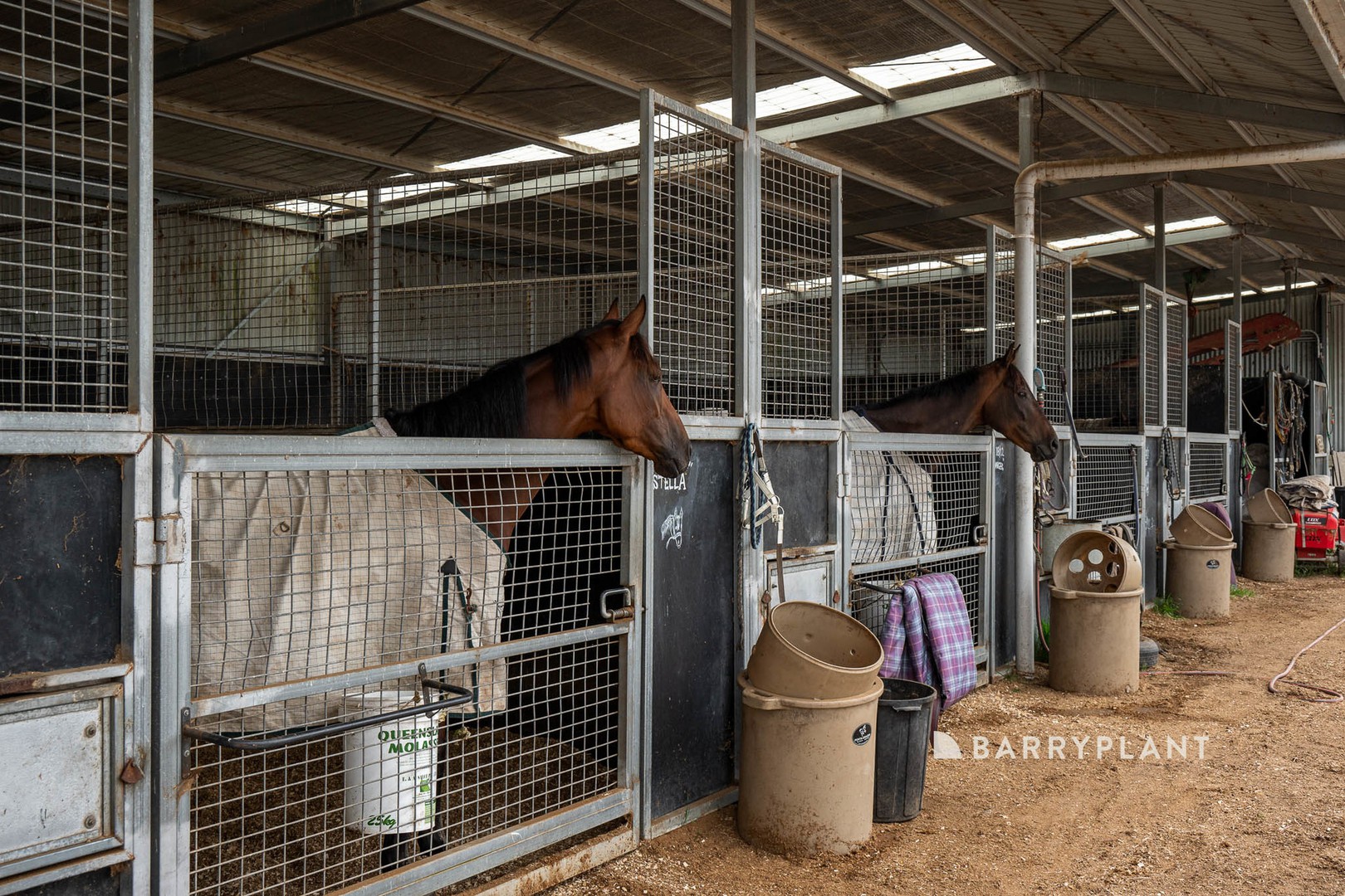 1 Knights Court, Tynong, VIC 3813 - Thumbnail 2 - 07/02/2024