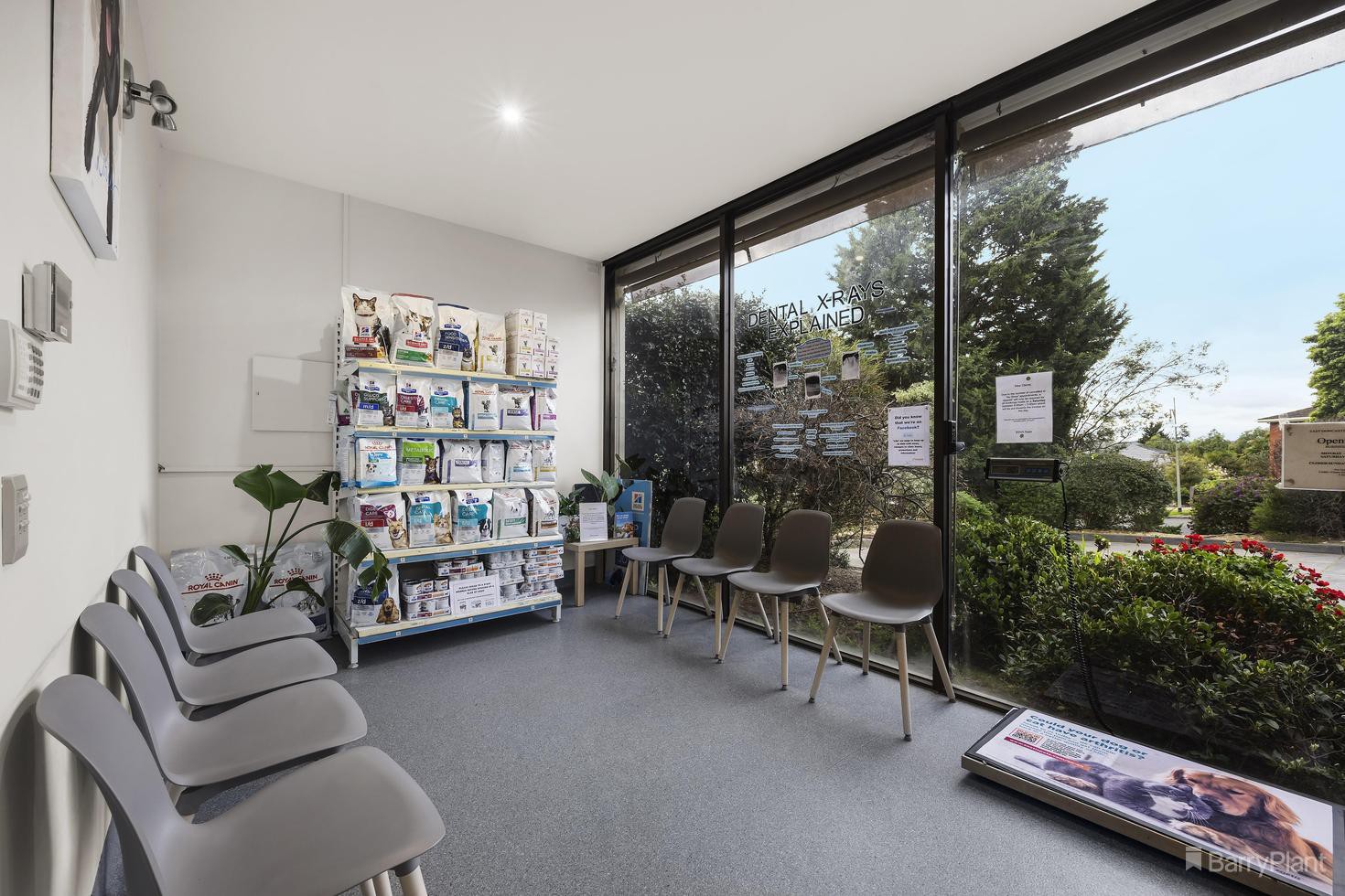 1 Peach Way, Templestowe, VIC 3106, Templestowe - Thumbnail 6