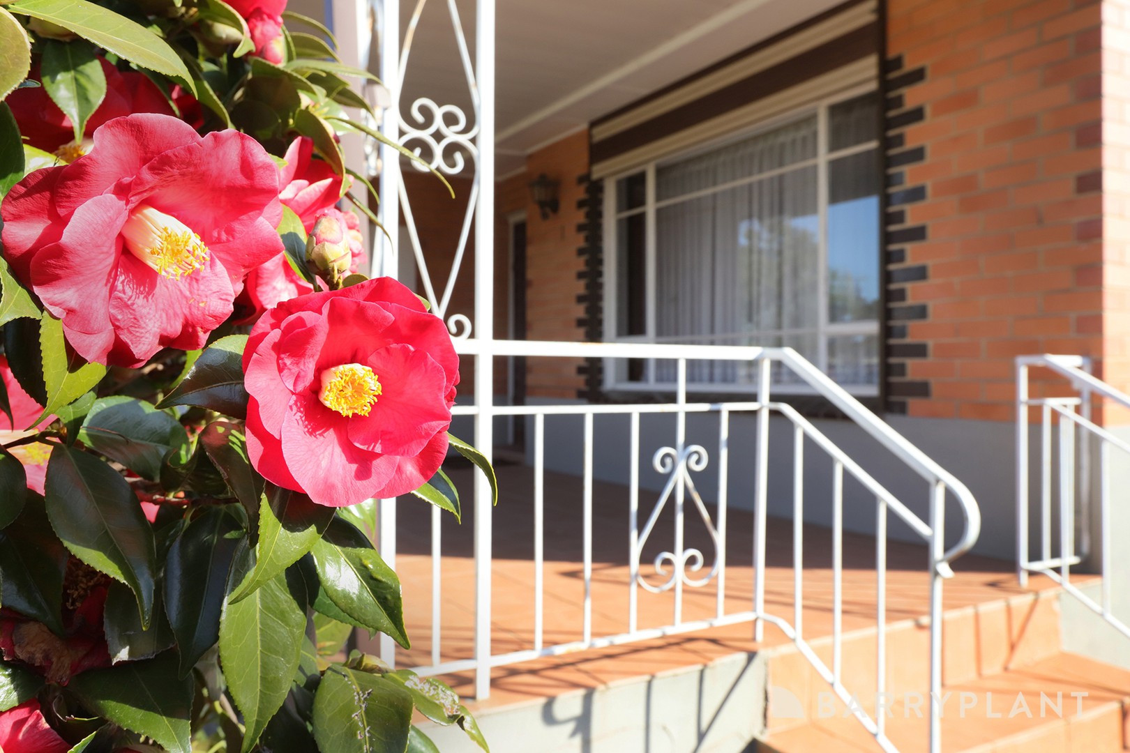 1 Watford Road, St Albans, VIC 3021, St Albans - Thumbnail 2