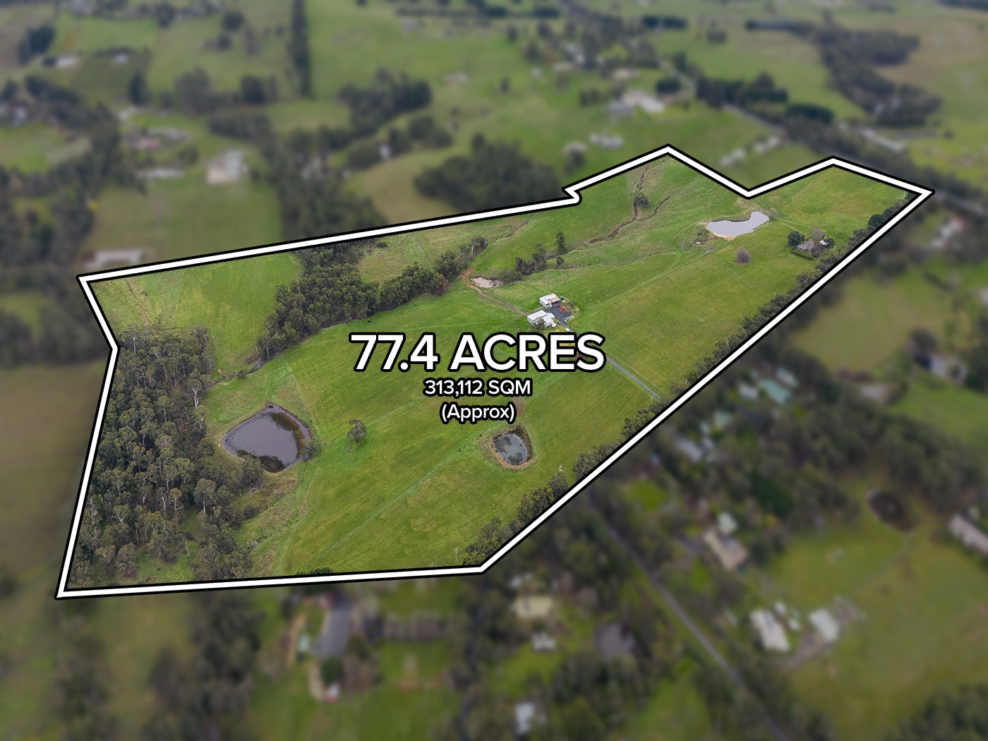 10 Douthie Road, Seville, VIC 3139, Seville - Thumbnail 4