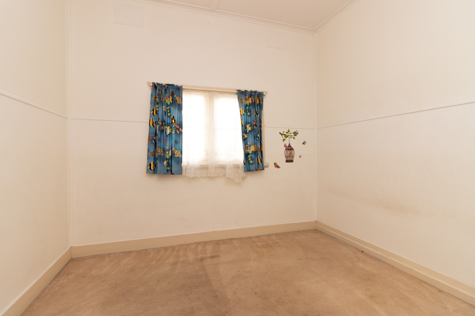 10 Elsie Grove, Chelsea, VIC 3196, Chelsea - Thumbnail 5