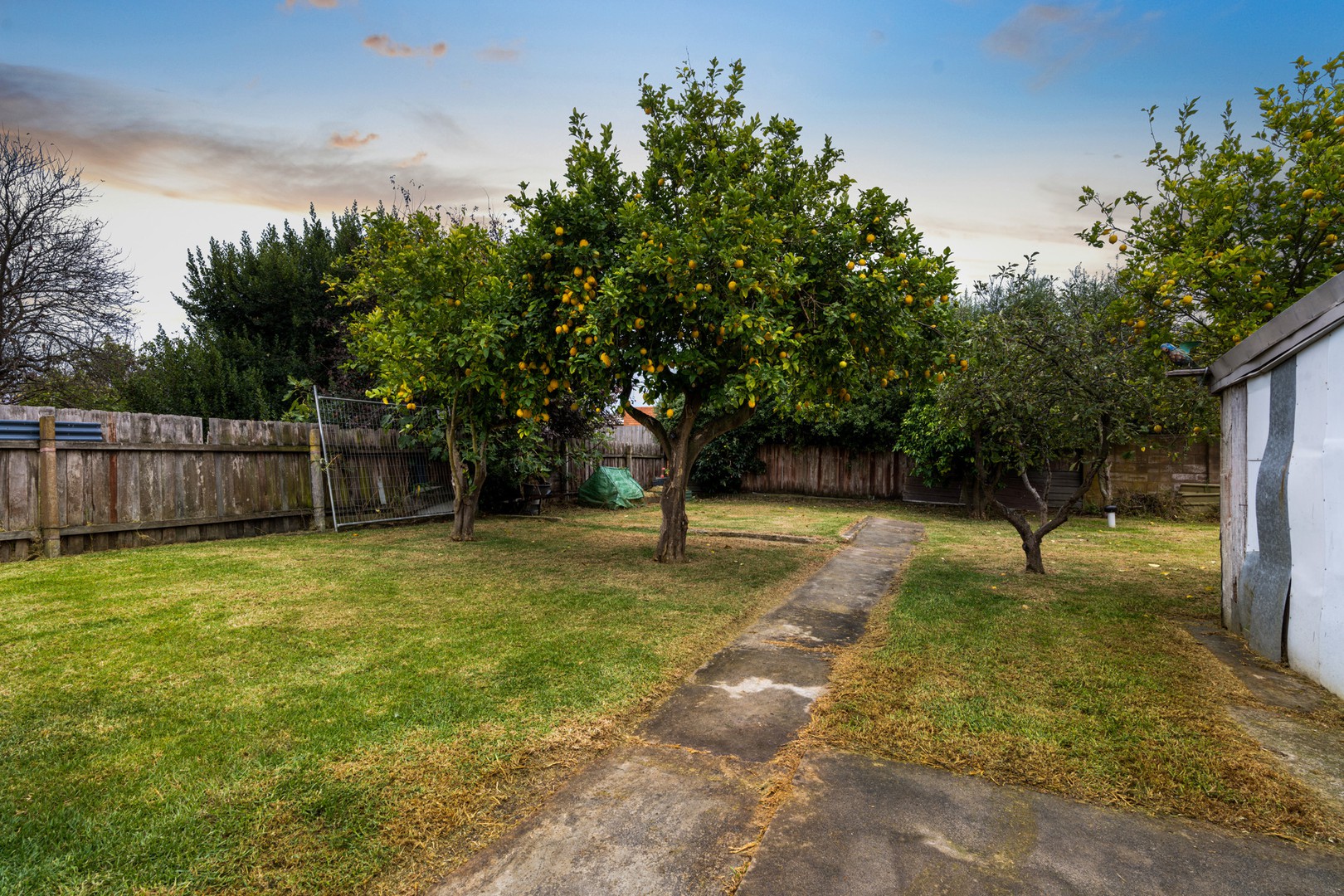 10 Kalimna Street, Hamlyn Heights, VIC 3215, Hamlyn Heights - Thumbnail 8