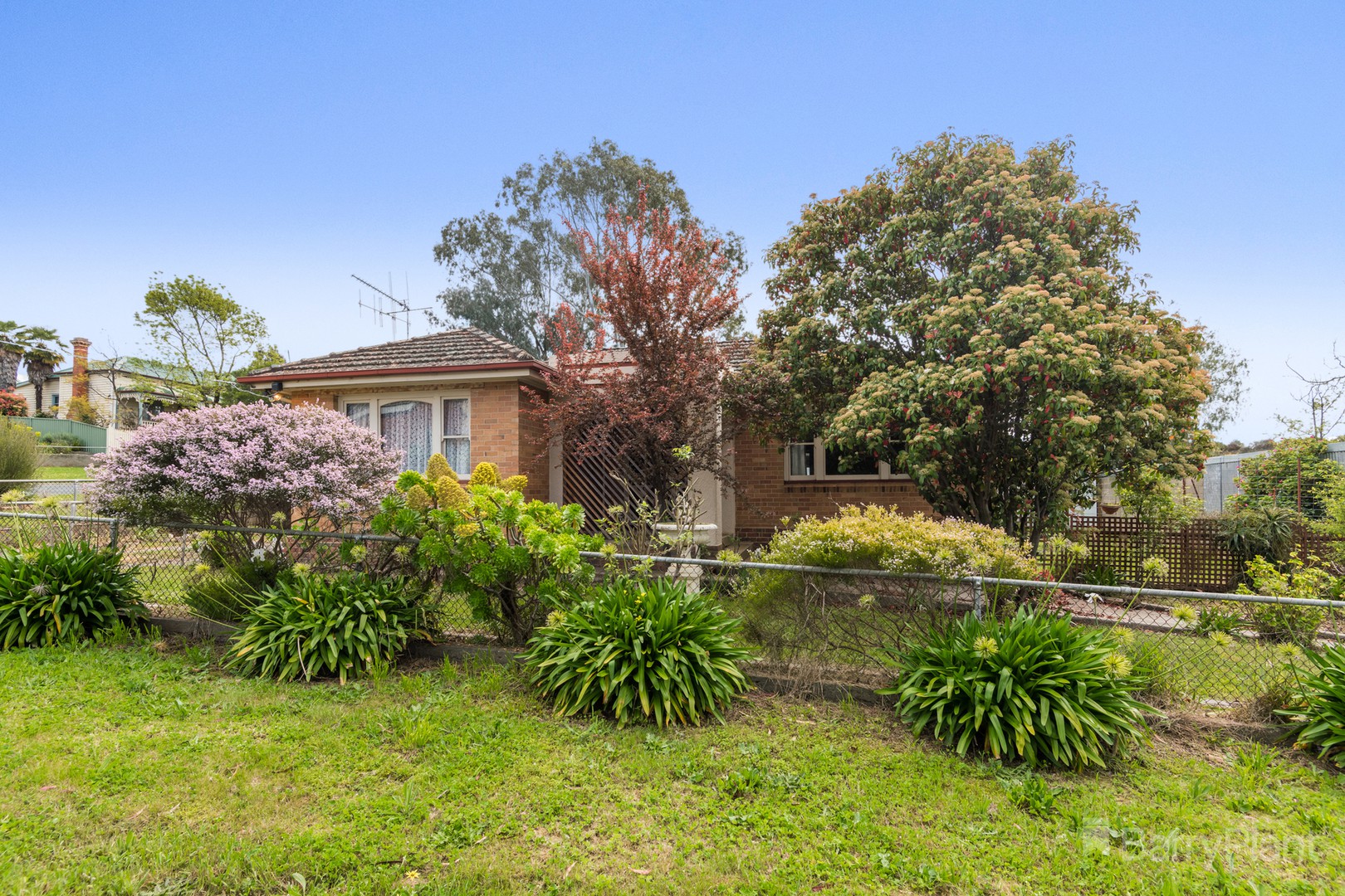 10 Stanfield Street, Long Gully, VIC 3550 - Thumbnail 1 - 05/10/2022