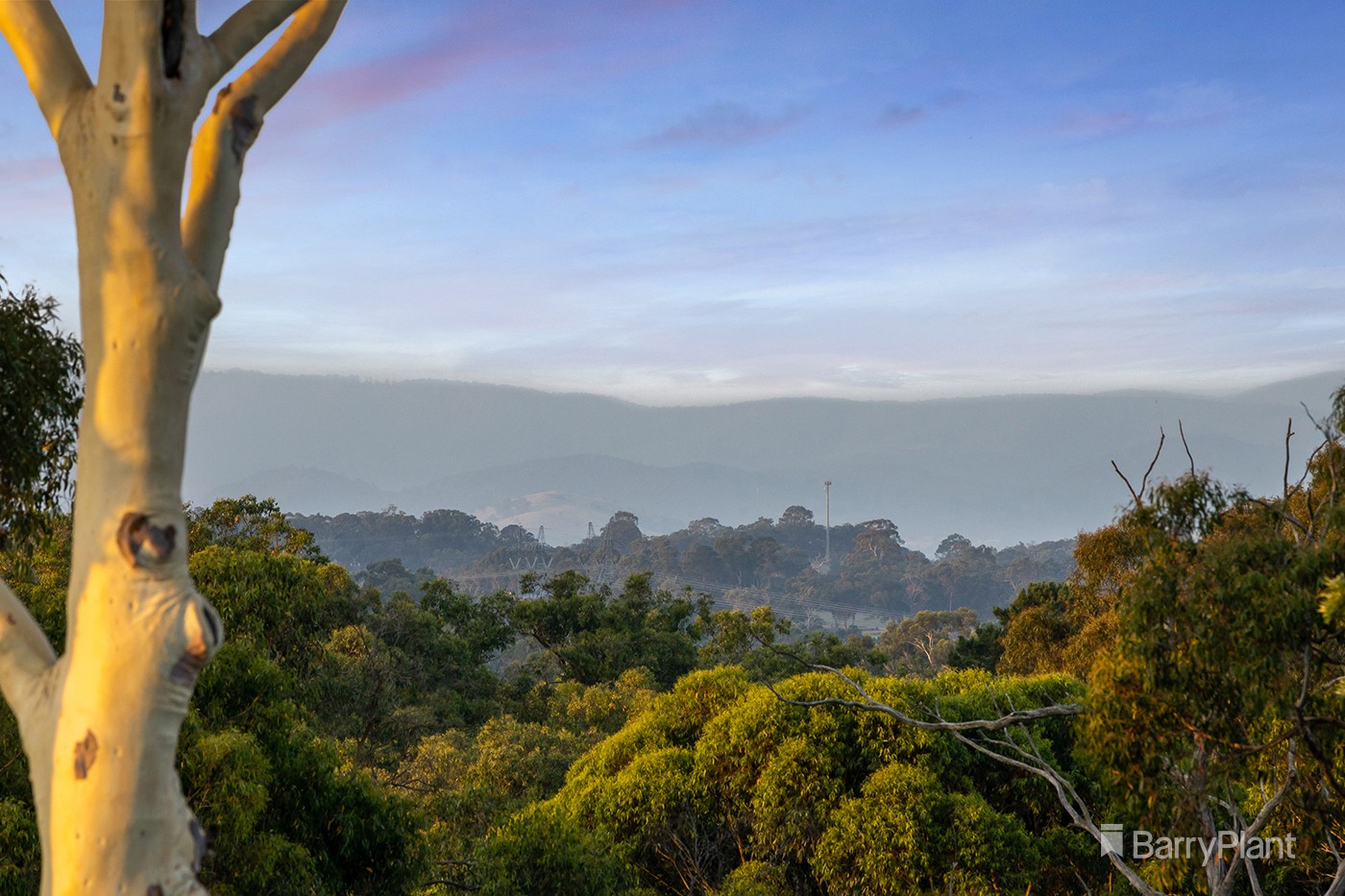 10 Weymar Crescent, Wandin North, VIC 3139, Wandin North - Thumbnail 2