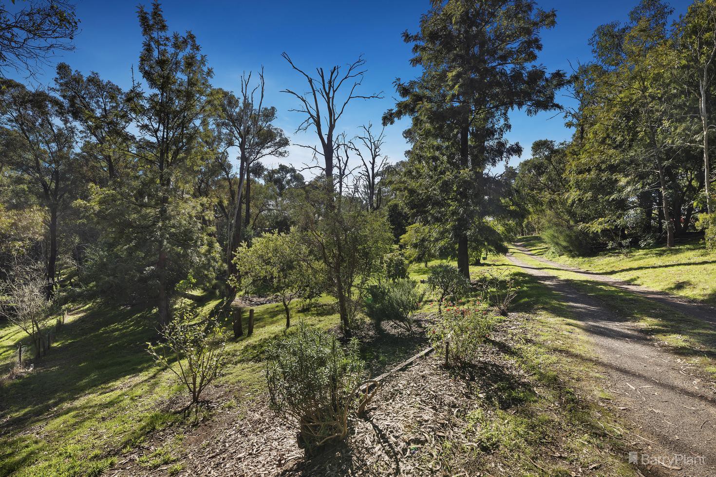 100 Rodger Road, Panton Hill, VIC 3759, Panton Hill - Thumbnail 5