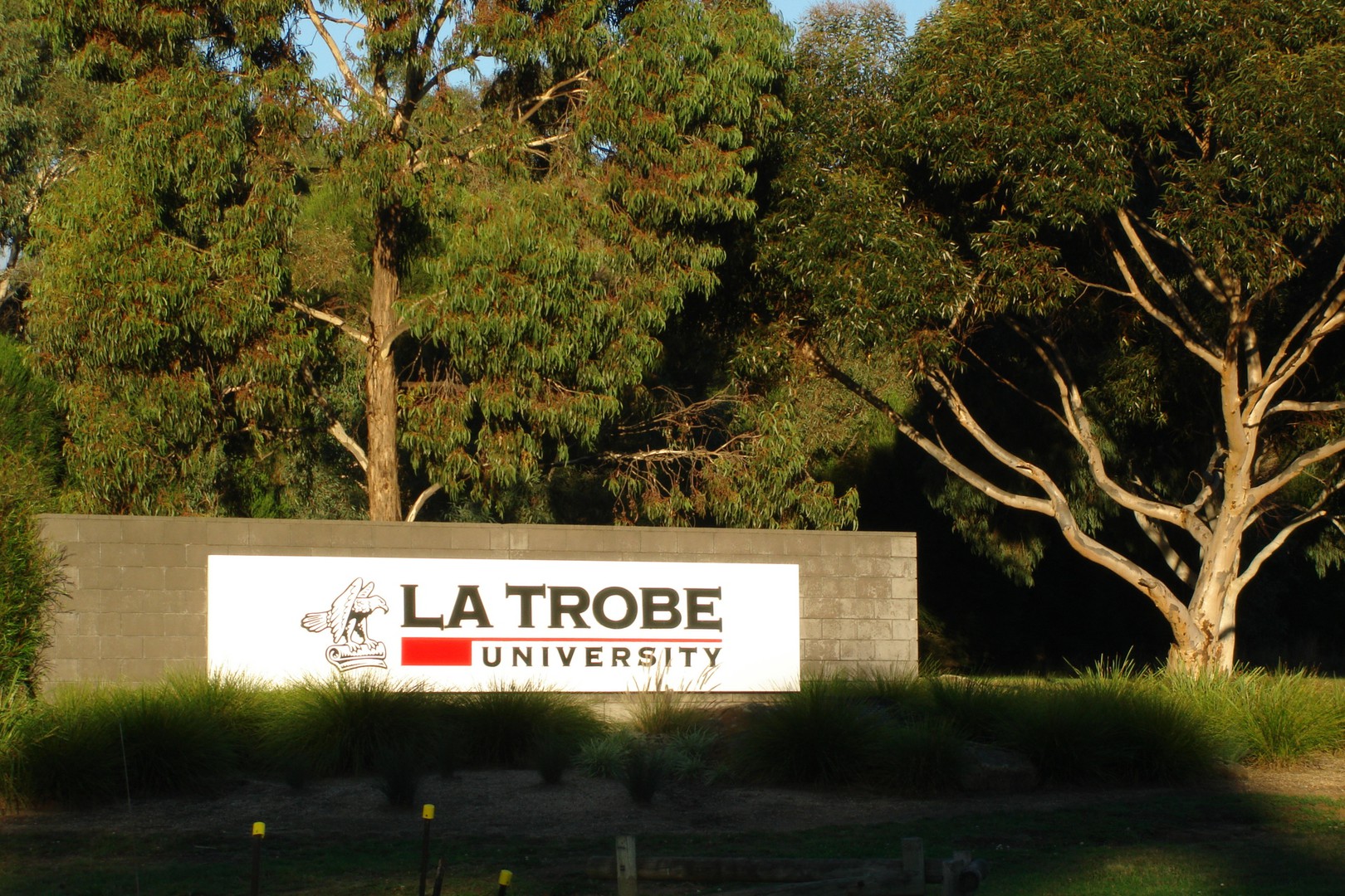 1039-1041 Plenty Road, Kingsbury, VIC 3083, Kingsbury - Thumbnail 6