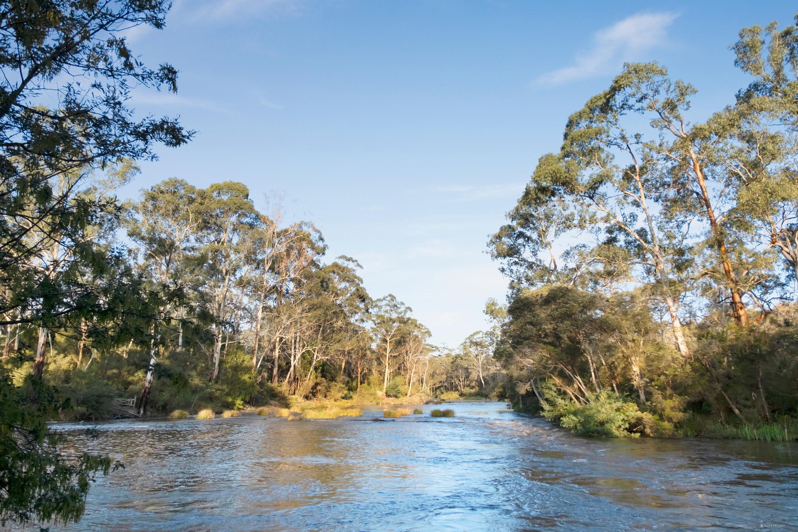 105 Bourchiers Road, Kangaroo Ground, VIC 3097 - Thumbnail 1 - 06/11/2025