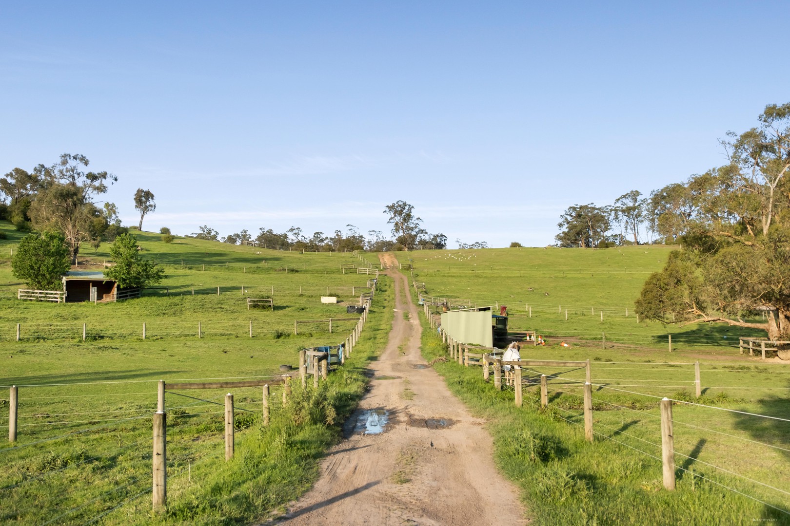 105 Bourchiers Road, Kangaroo Ground, VIC 3097, Kangaroo Ground - Thumbnail 6