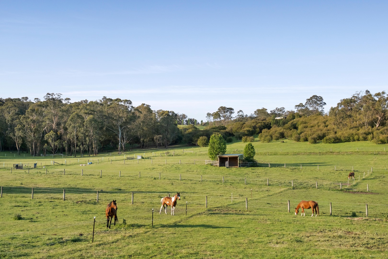 105 Bourchiers Road, Kangaroo Ground, VIC 3097, Kangaroo Ground - Thumbnail 7