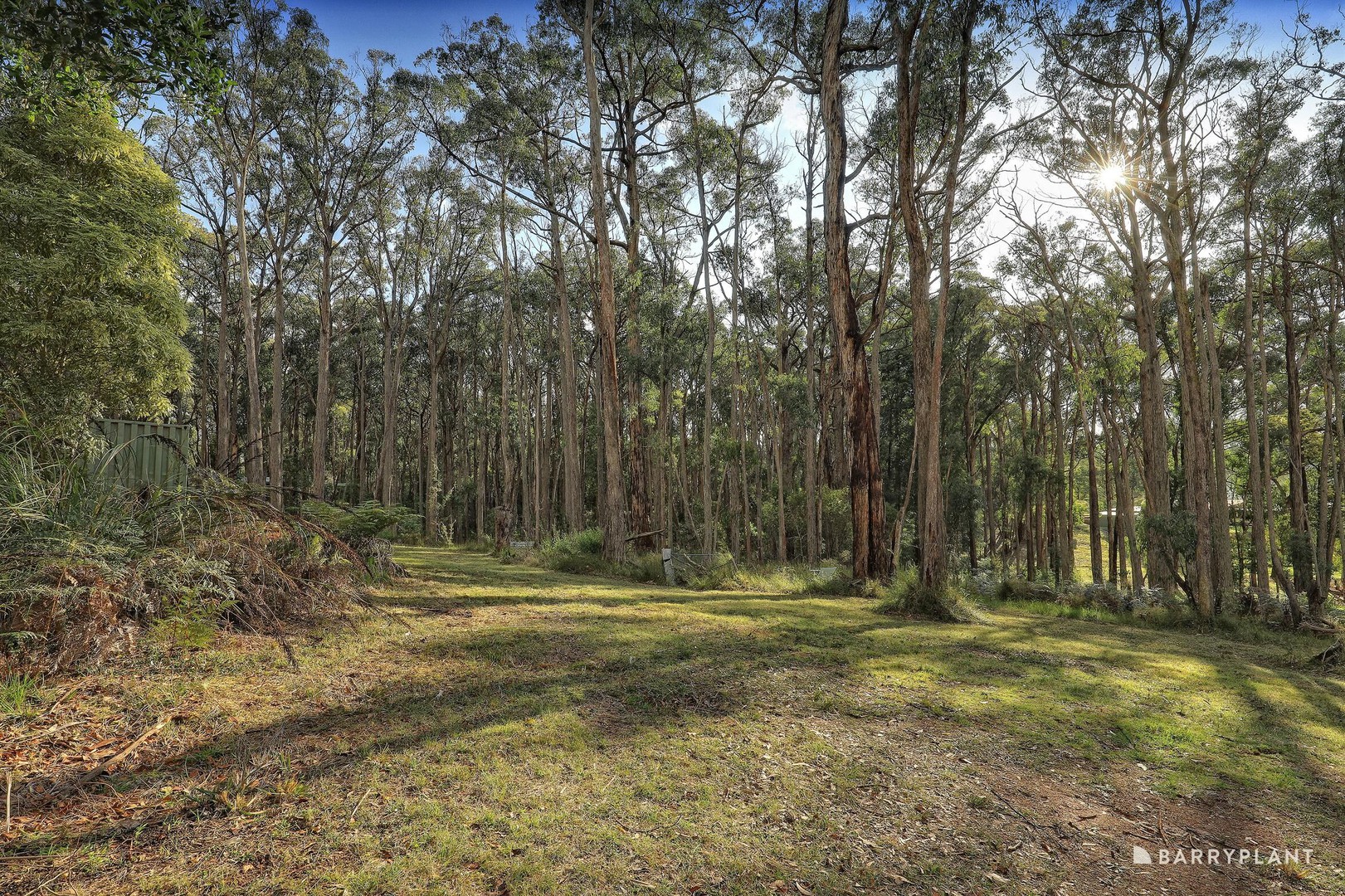 105 Warwick Road, Gembrook, VIC 3783, Gembrook - Thumbnail 2