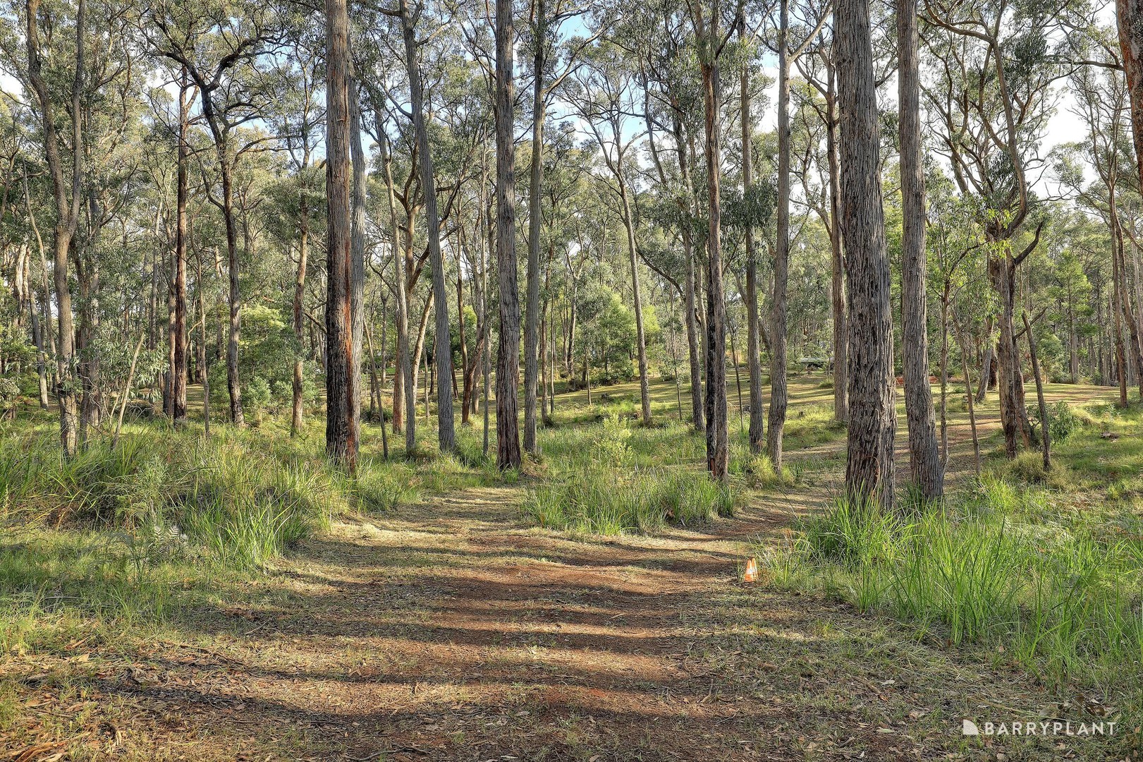105 Warwick Road, Gembrook, VIC 3783, Gembrook - Thumbnail 6