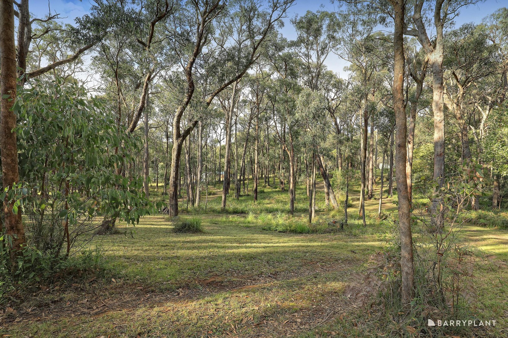 105 Warwick Road, Gembrook, VIC 3783, Gembrook - Thumbnail 8