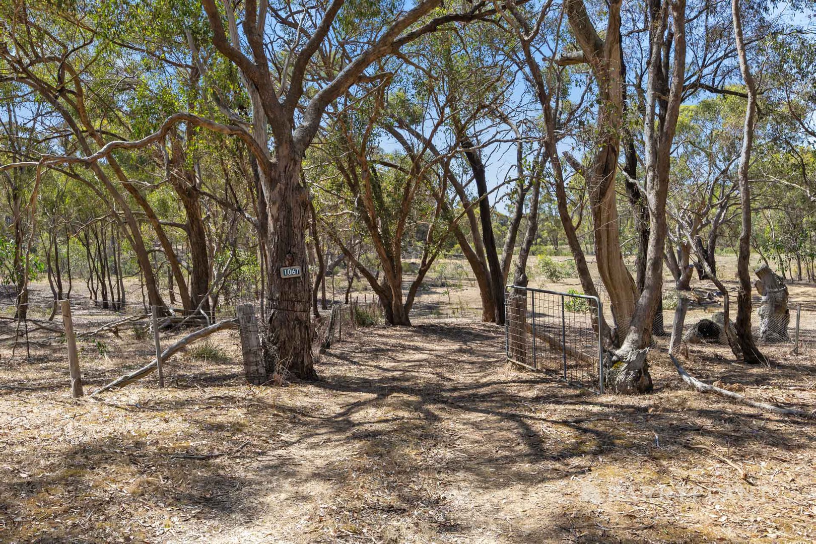1067 Lexton Talbot Road, Burnbank, VIC 3371, Burnbank - Thumbnail 3