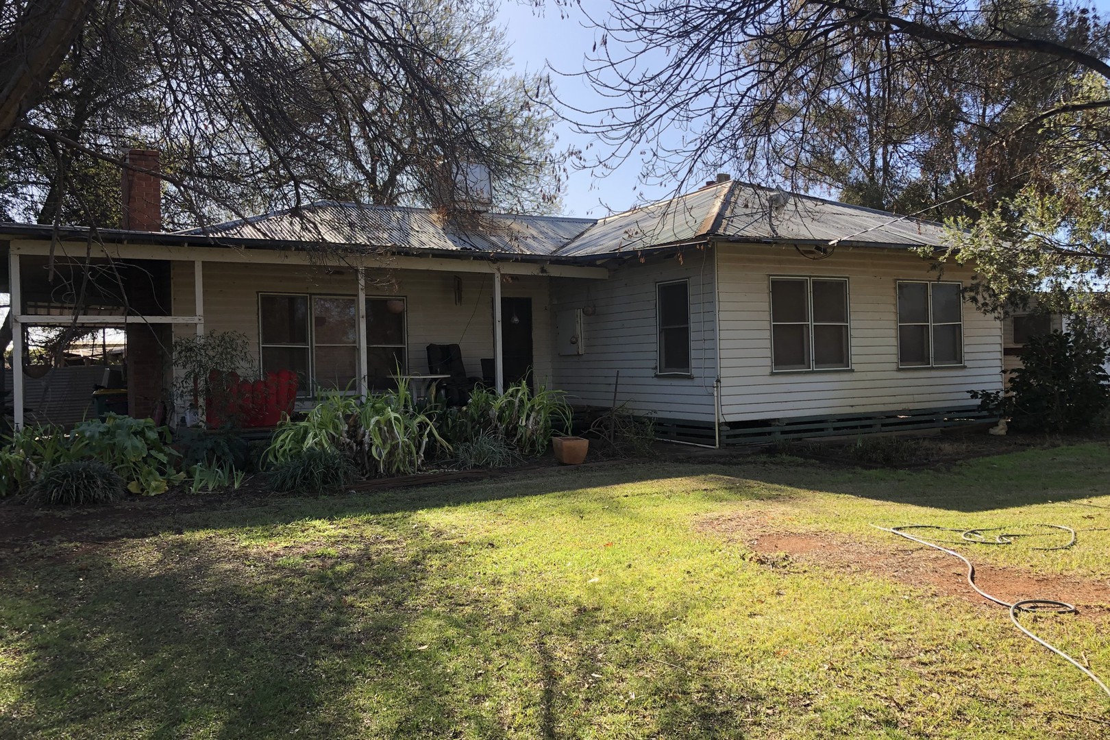 109 Wareo Road, Robinvale, VIC 3549, Robinvale - Thumbnail 4