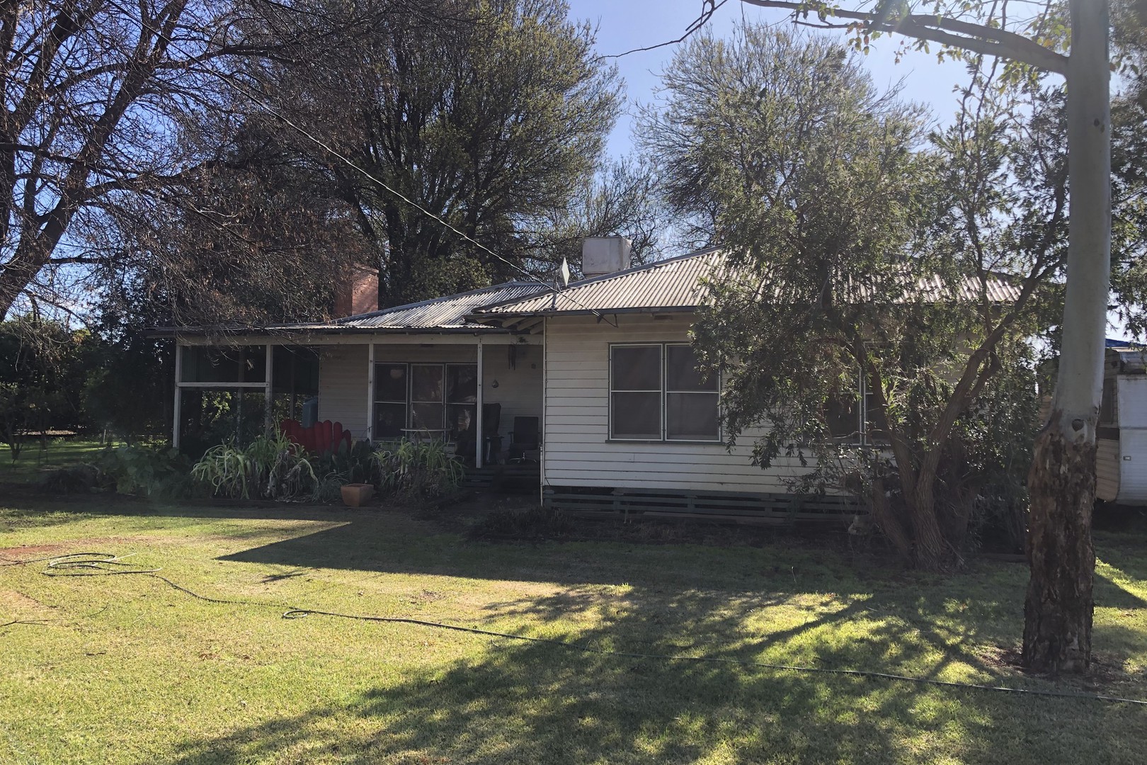 109 Wareo Road, Robinvale, VIC 3549, Robinvale - Thumbnail 5