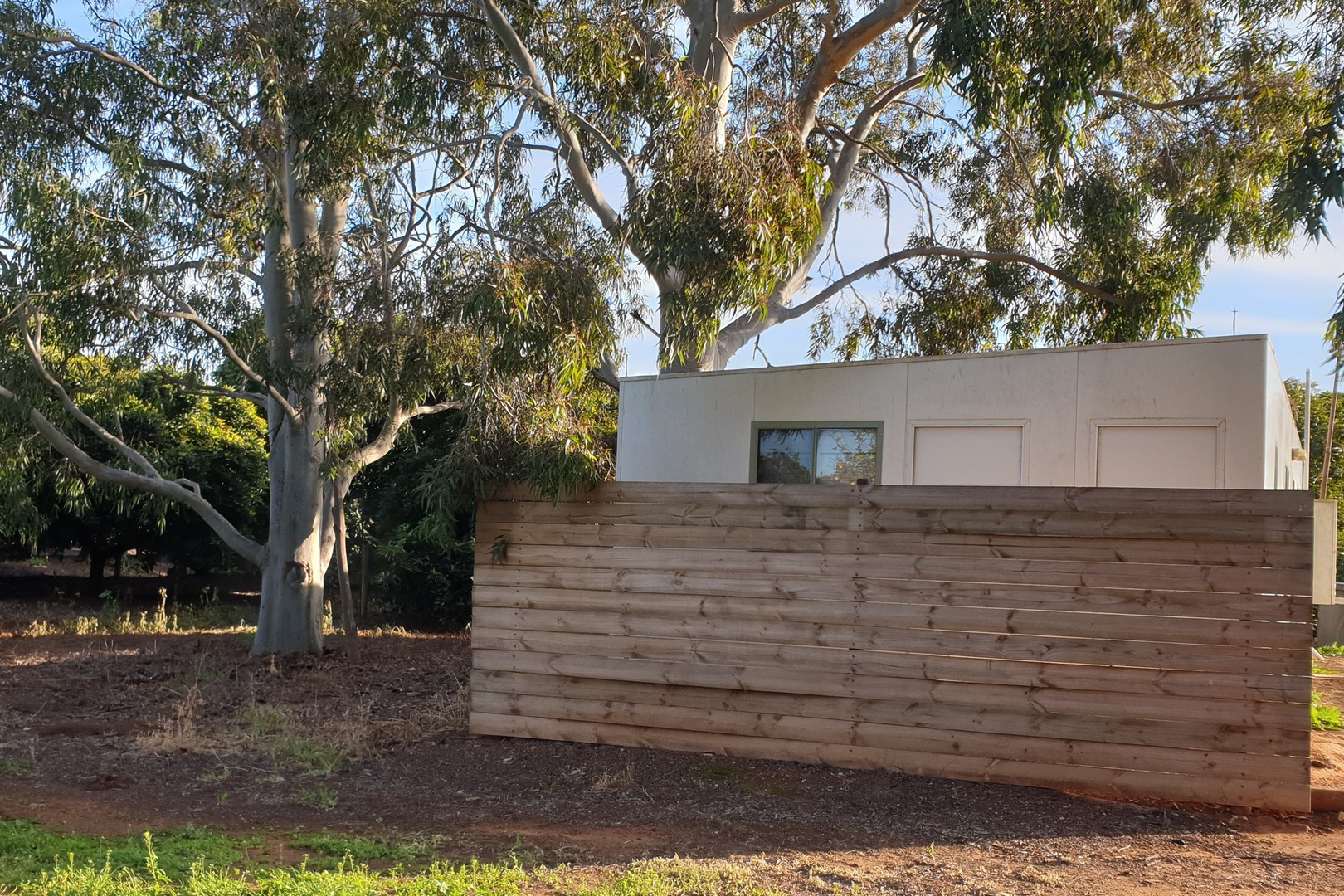 109 Wareo Road, Robinvale, VIC 3549, Robinvale - Thumbnail 6