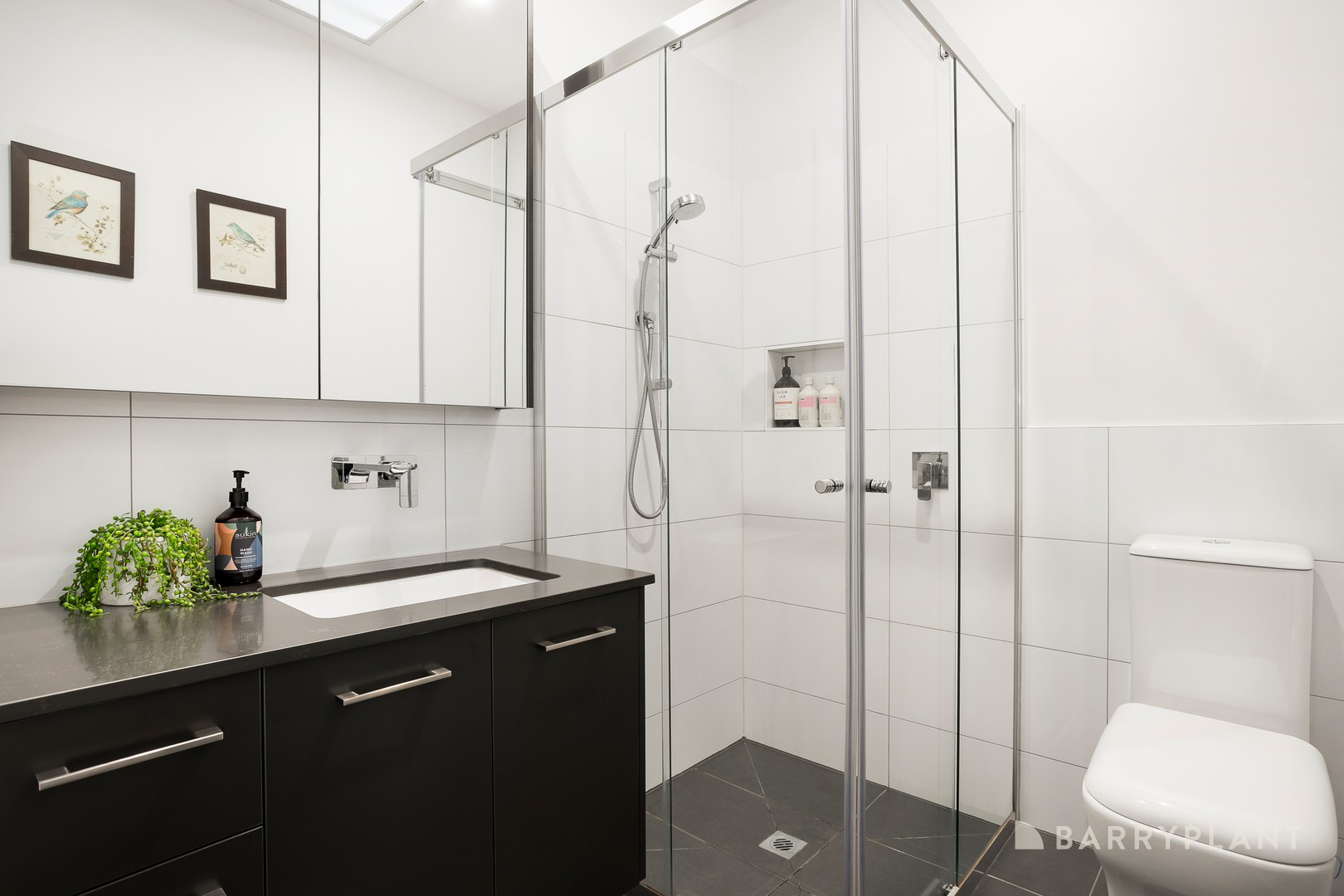 10C Phillip Street, Mentone, VIC 3194, Mentone - Thumbnail 7