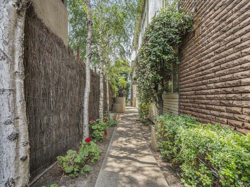 11/278 Domain Road, South Yarra, VIC 3141, South Yarra - Thumbnail 5