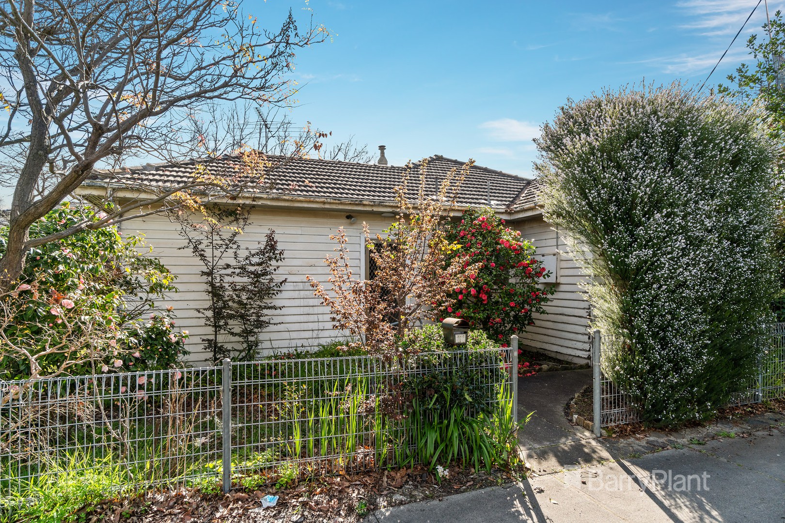 11 Bourke Street, Bulleen, VIC 3105, Bulleen - Thumbnail 8