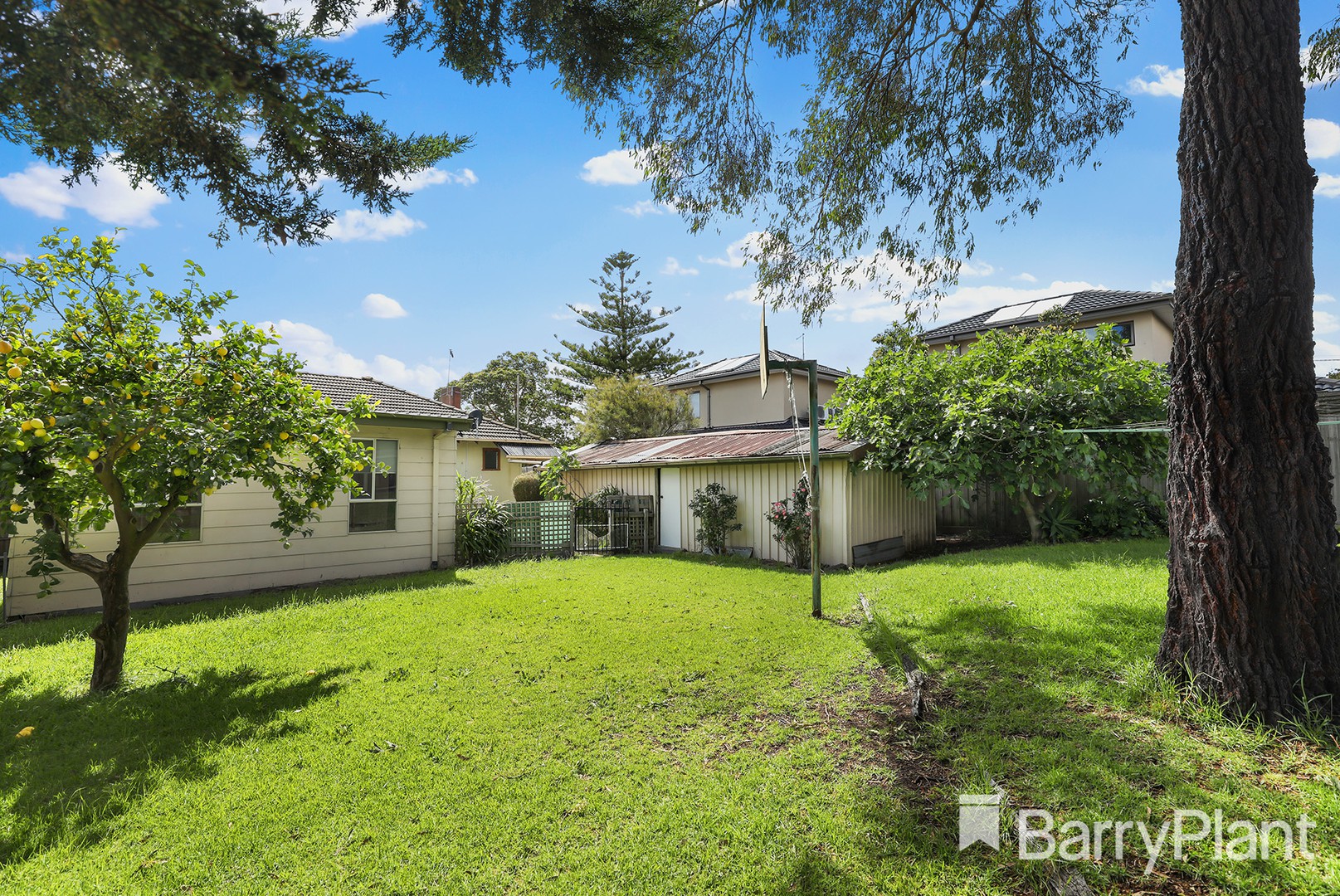 11 Carramar  Street, Chadstone, VIC 3148, Chadstone - Thumbnail 8